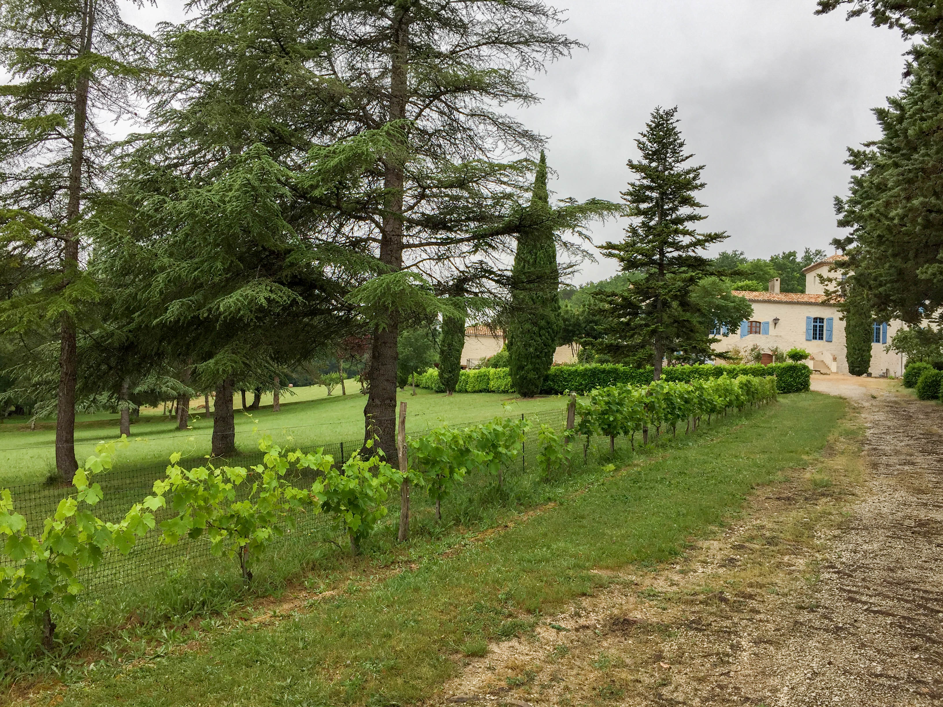 French property for sale in Montcuq-en-Quercy-Blanc, Lot - €1,560,000 - photo 