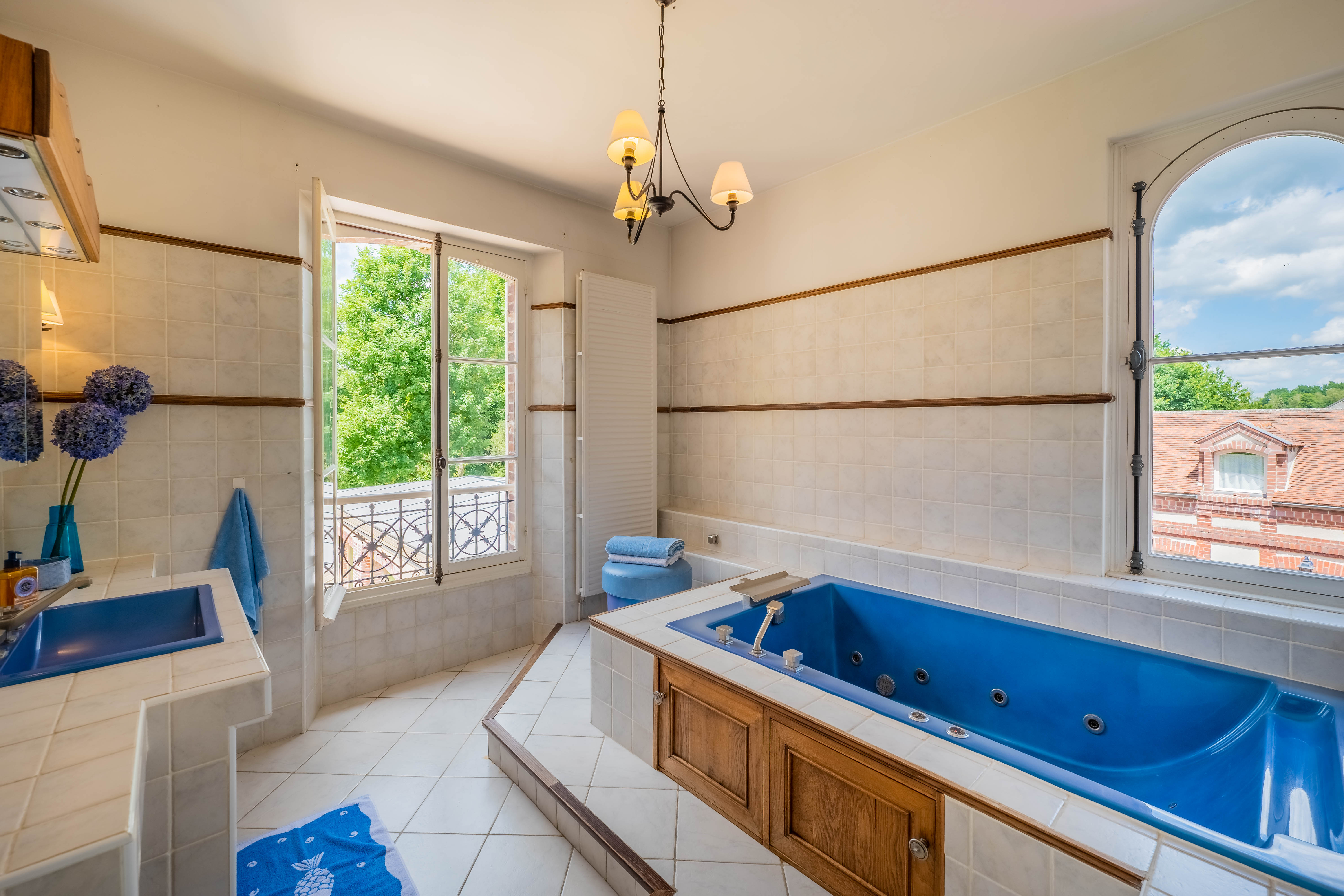 Propriété en France à vendre à Coulommiers, Seine-et-Marne - &#8364;2 450 000 - photo 