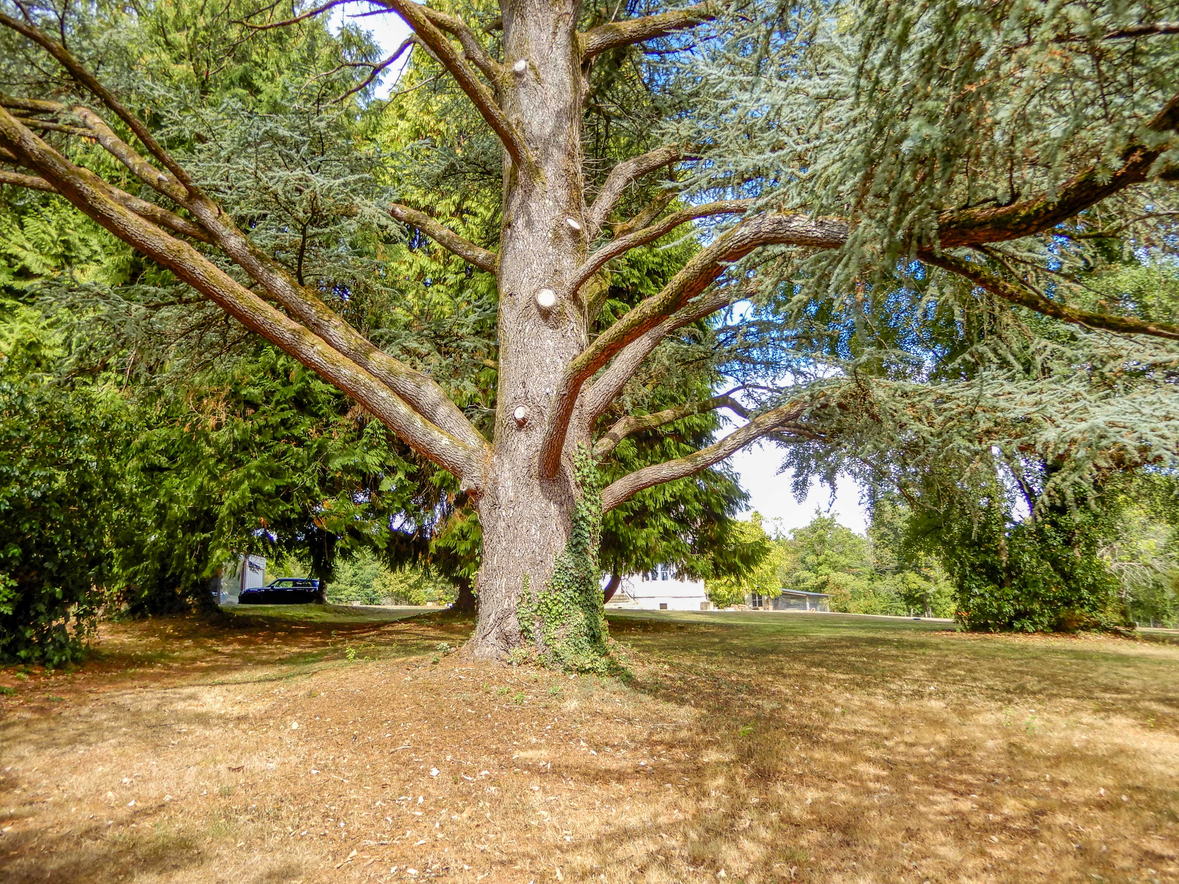 Propriété en France à vendre à Saint-Priest-Taurion, Haute-Vienne - &#8364;530 000 - photo 