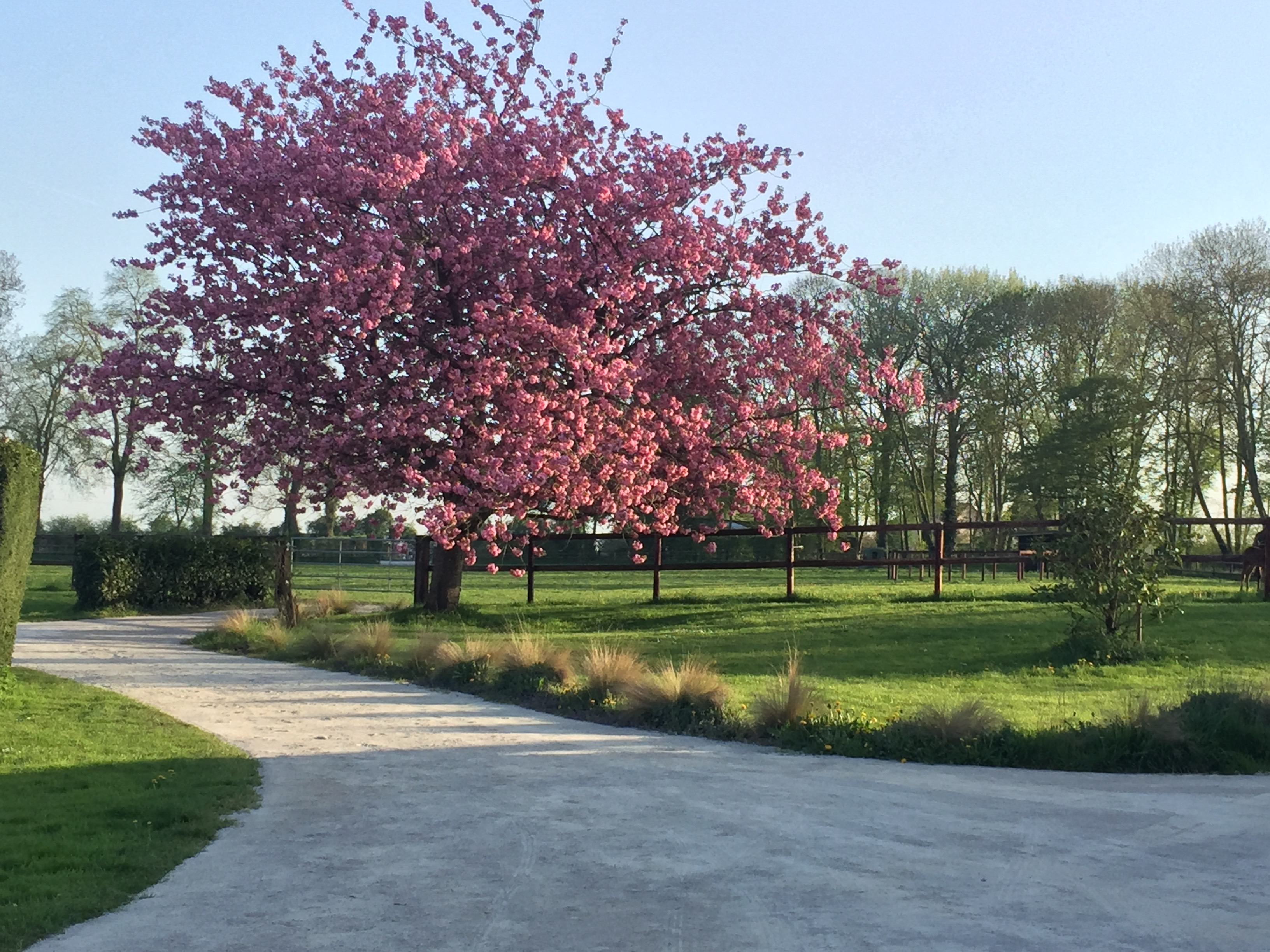 French property for sale in Argentan, Orne - €2,100,000 - photo 