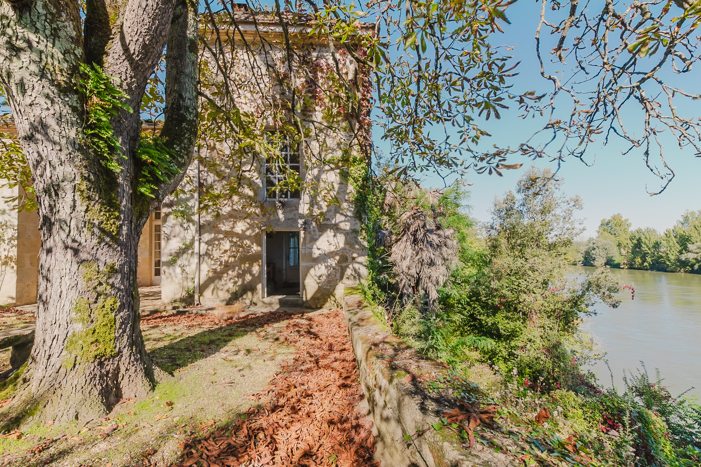 Propriété en France à vendre à Langon, Gironde - &#8364;1 567 500 - photo 
