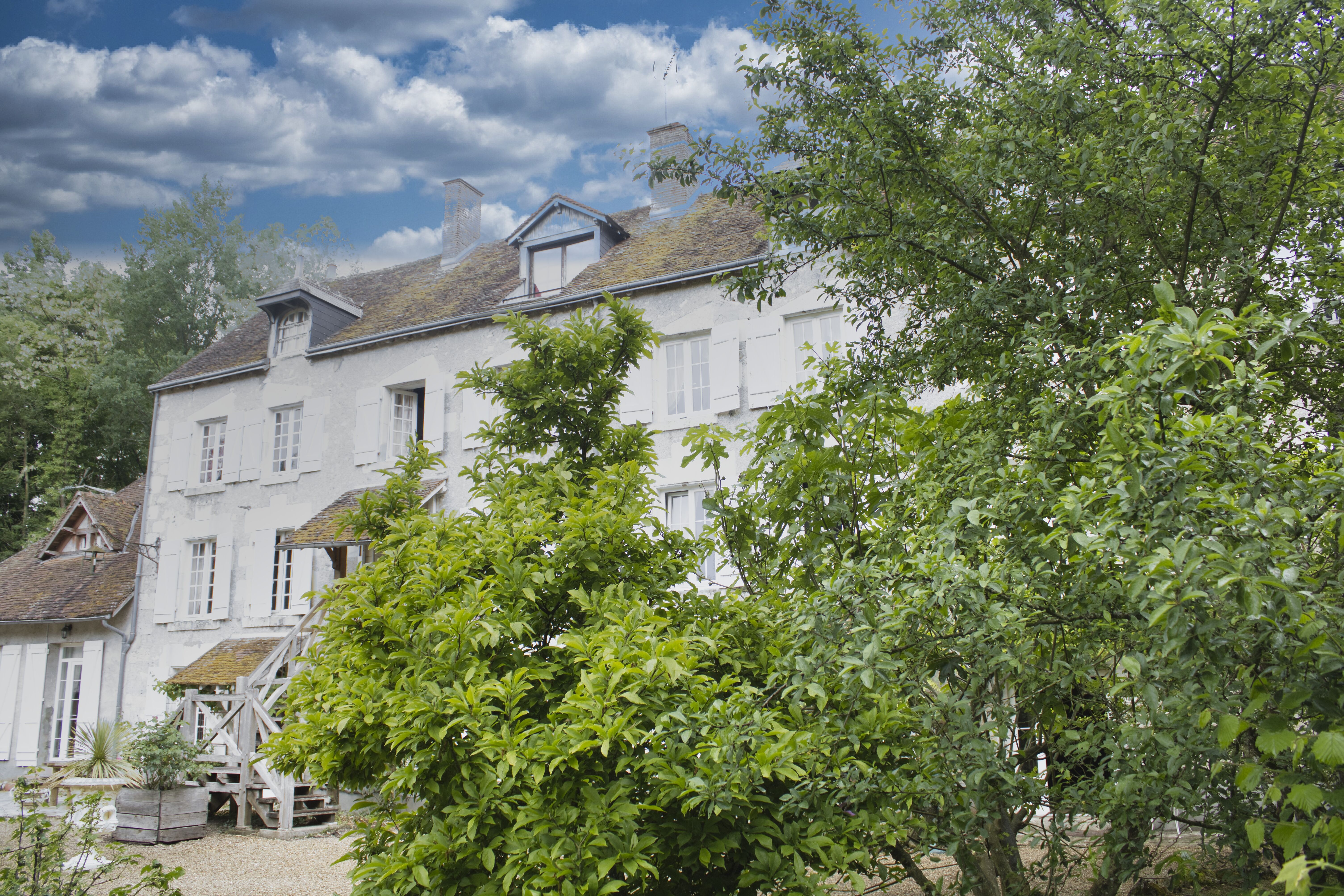 French property for sale in Blois, Loir-et-Cher - €2,335,000 - photo 