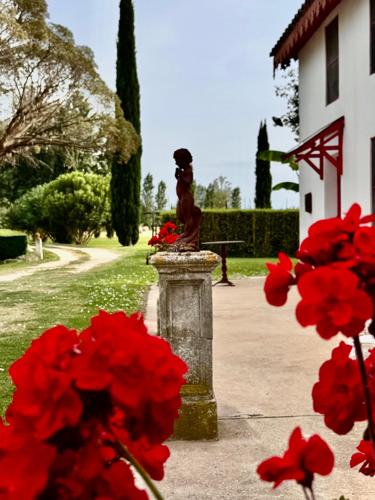 French property for sale in Arles, Bouches-du-Rhône - €1,390,000 - photo 