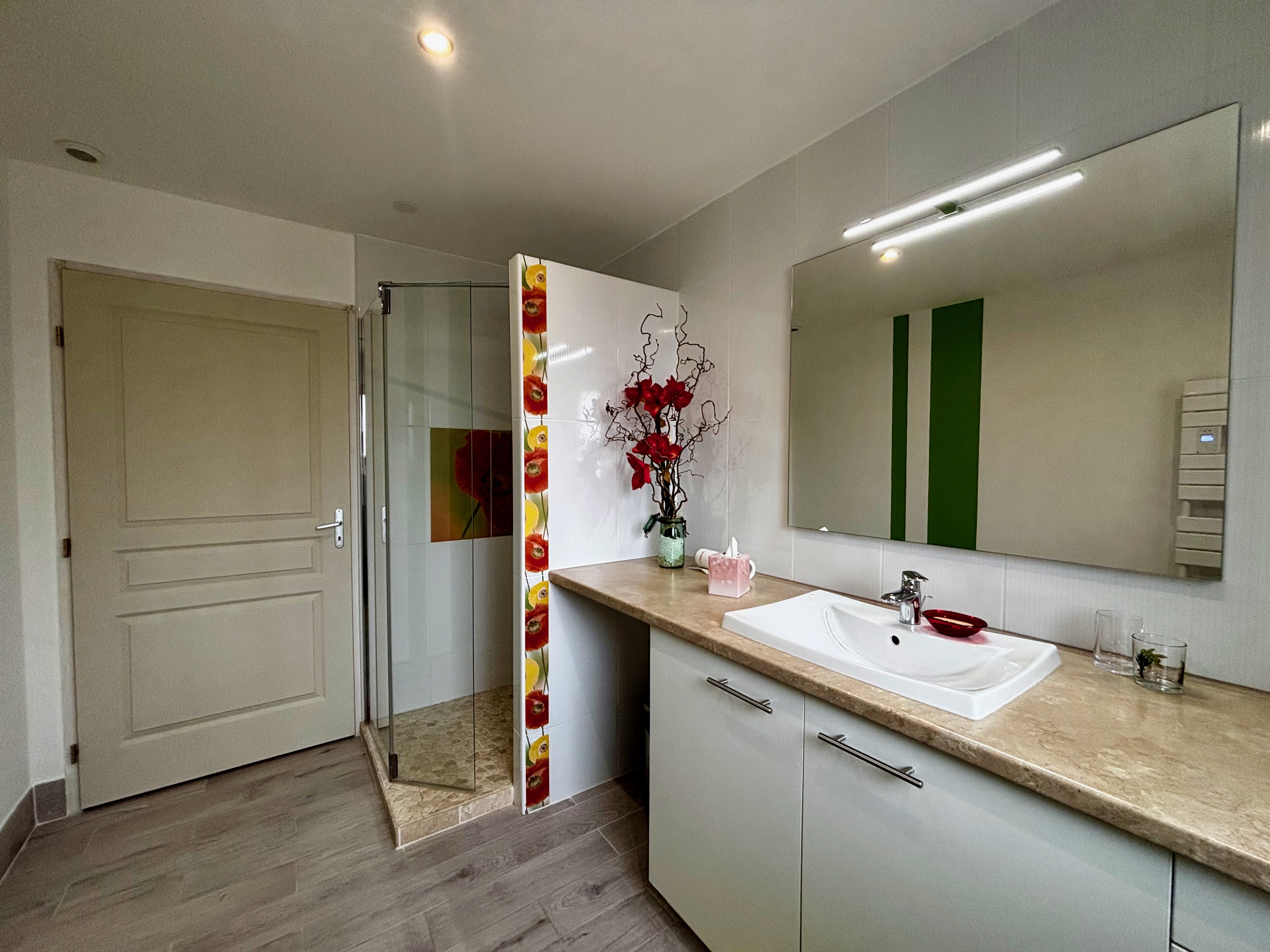 French property for sale in Boisset-et-Gaujac, Gard - €740,000 - photo 