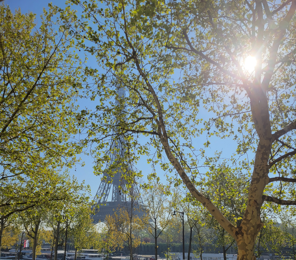 French property for sale in Paris, Paris - €2,394,000 - photo 