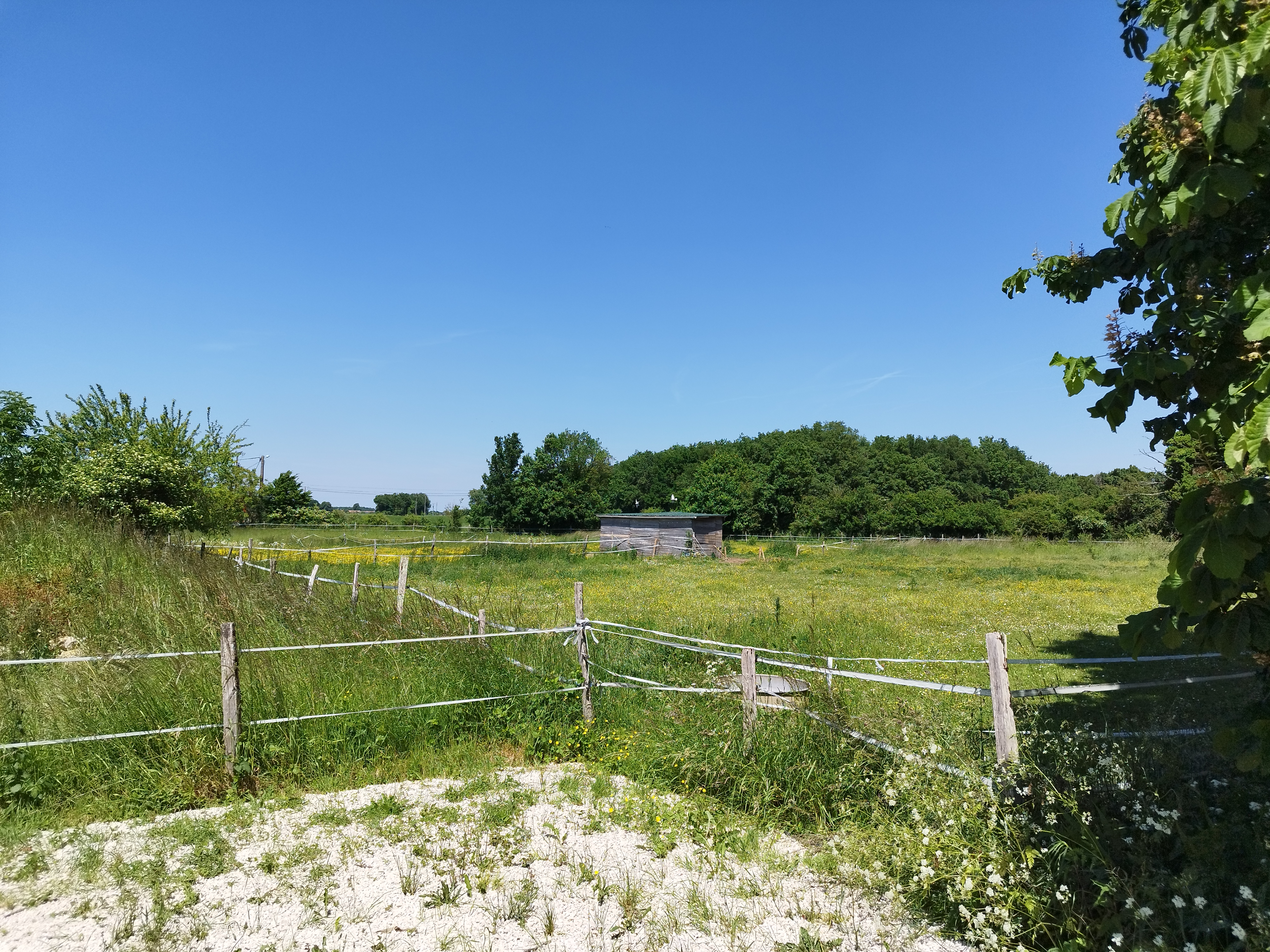 Propriété en France à vendre à Civray, Vienne - €595 000 - photo 