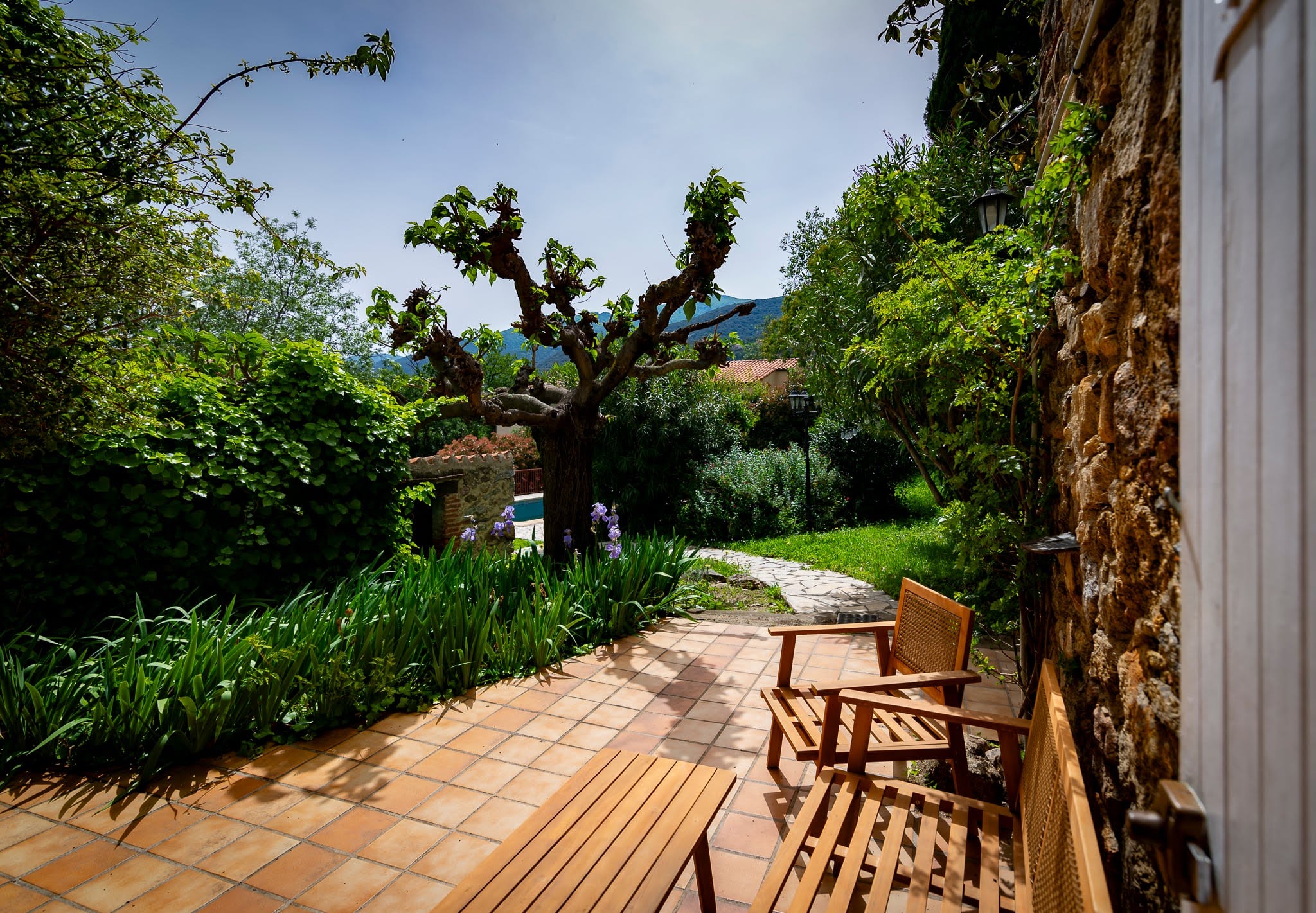 Propriété en France à vendre à Villelongue-dels-Monts, Pyrénées-Orientales - &#8364;1 890 000 - photo 