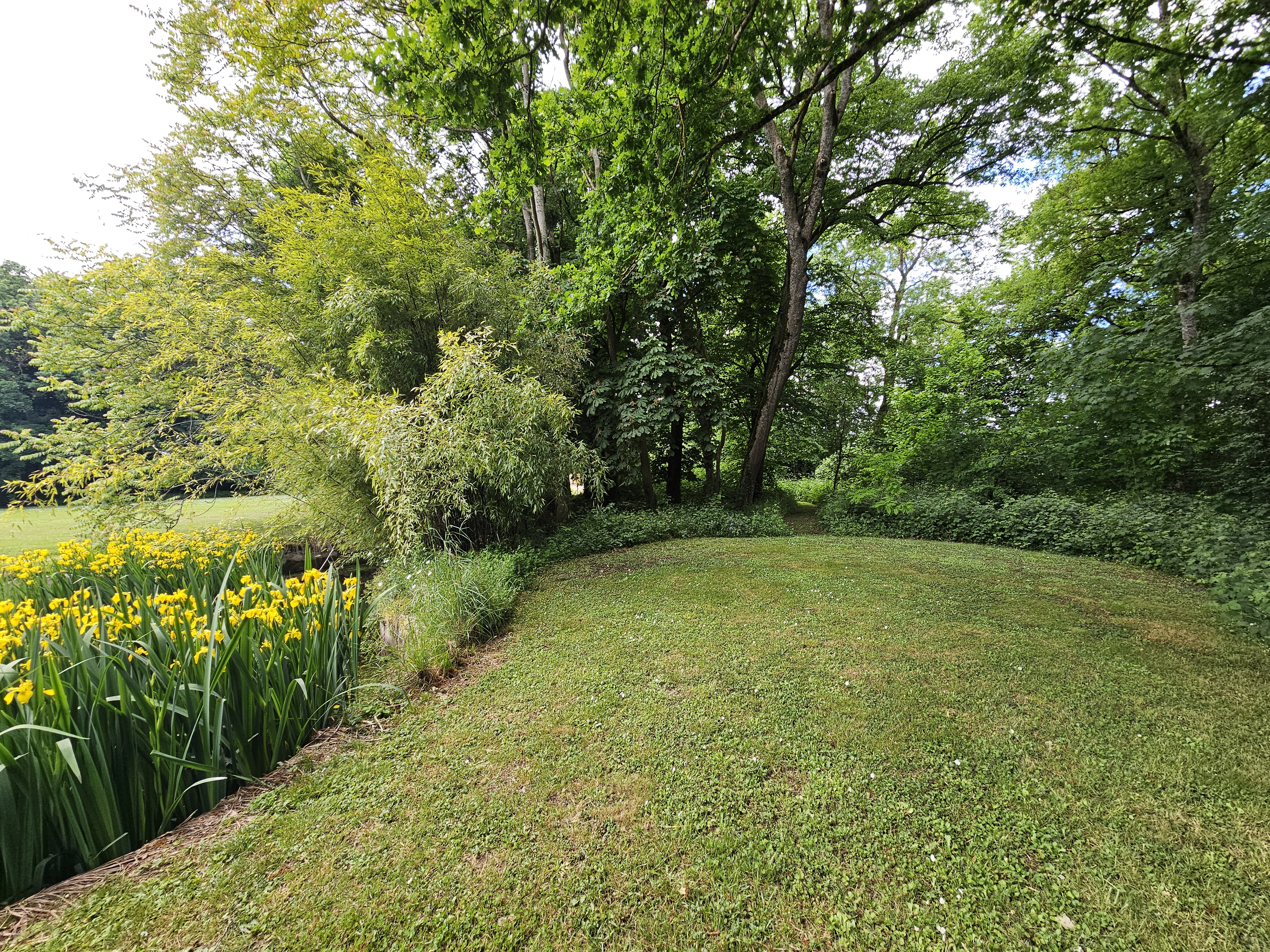Propriété en France à vendre à Theneuille, Allier - &#8364;1 100 000 - photo 