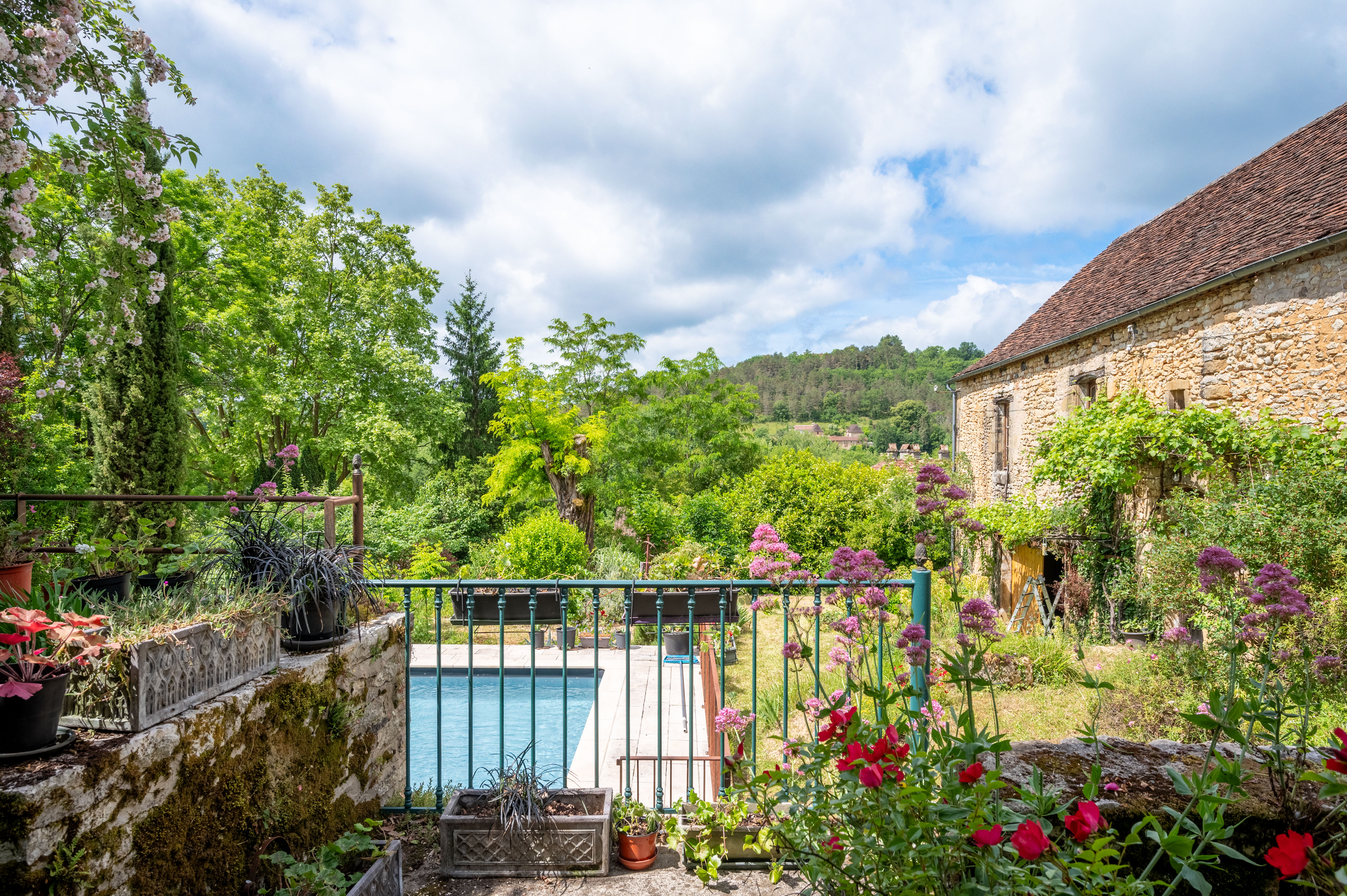 Propriété en France à vendre à Plazac, Dordogne - &#8364;575 000 - photo 