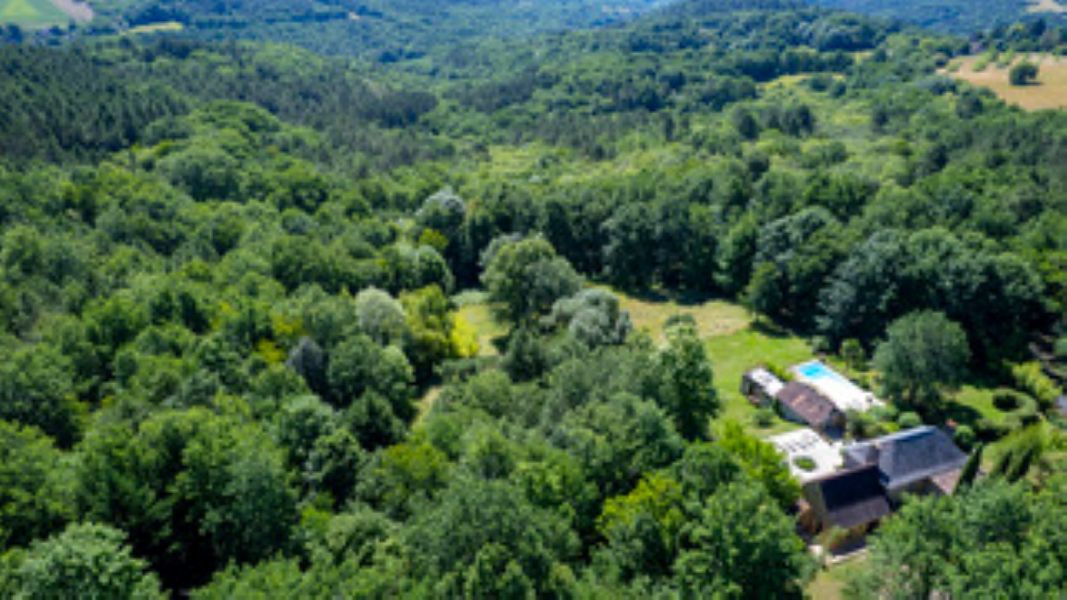French property for sale in Auriac-du-Périgord, Dordogne - €850,000 - photo 