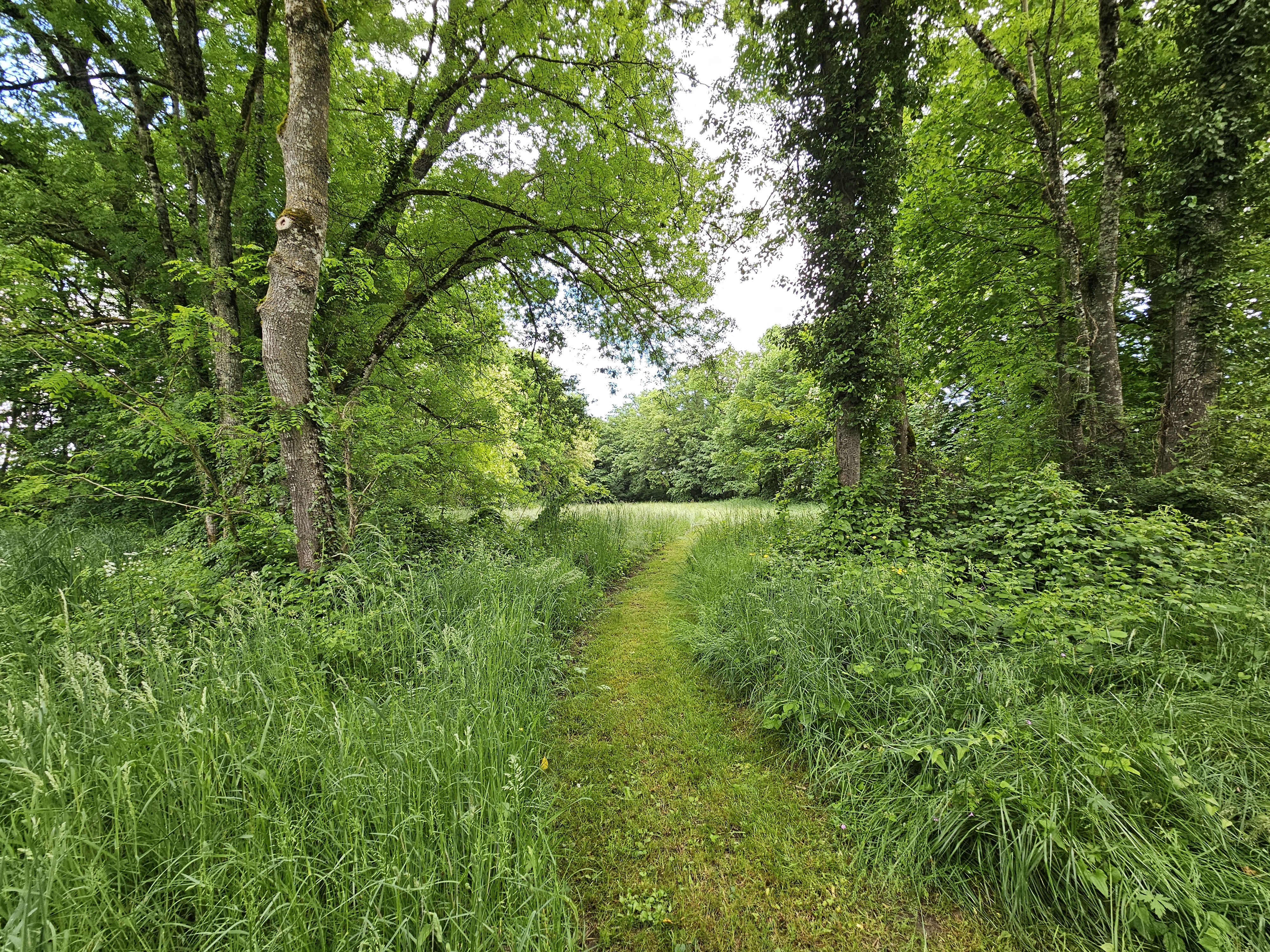 Propriété en France à vendre à Theneuille, Allier - &#8364;1 100 000 - photo 