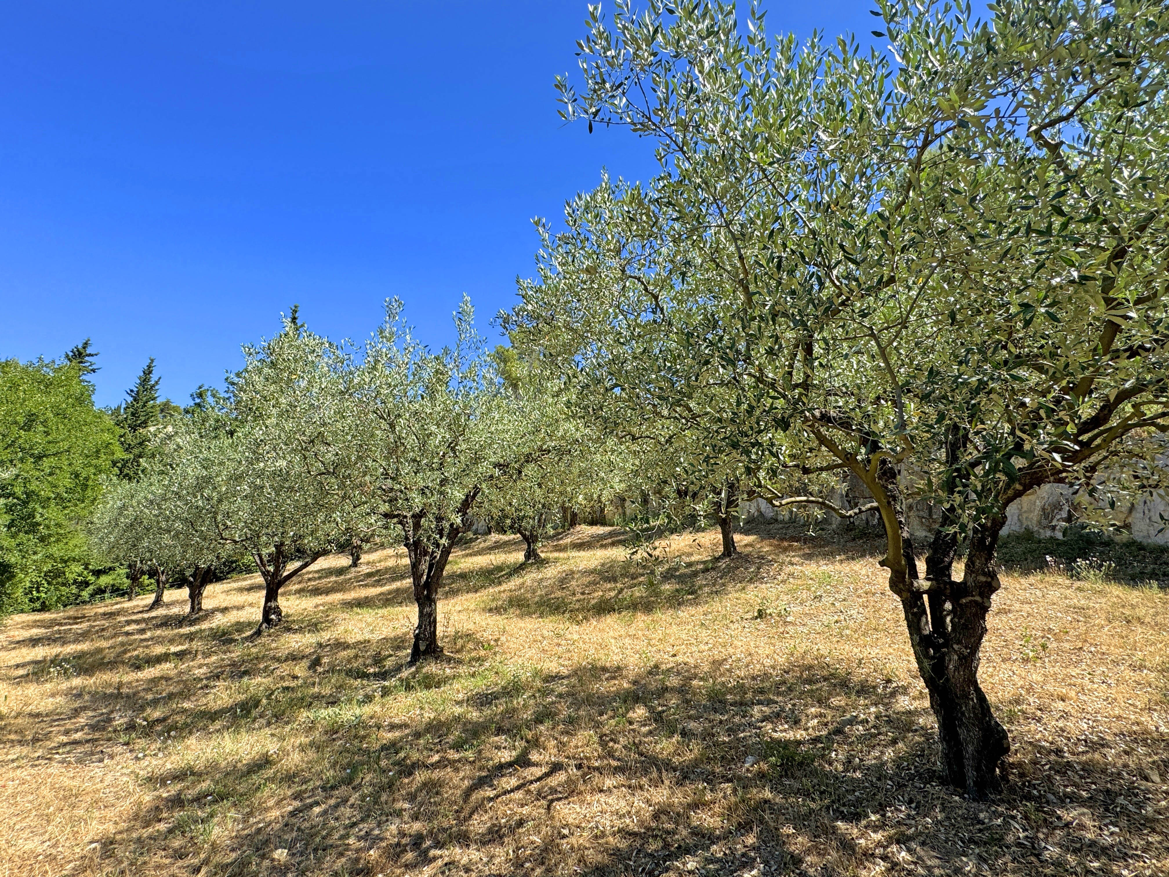 French property for sale in Aubres, Drôme - €795,000 - photo 