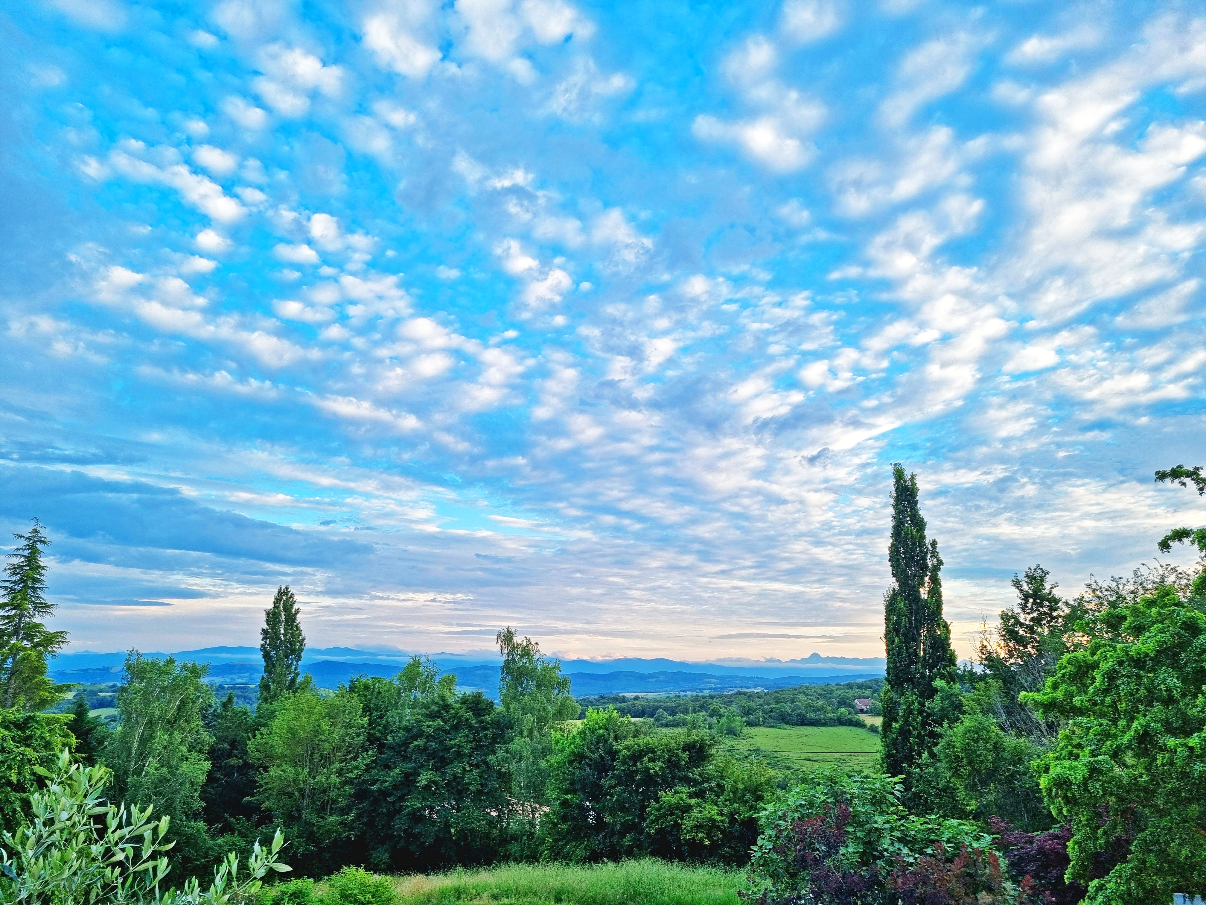 Propriété en France à vendre à Pamiers, Ariège - &#8364;780 000 - photo 