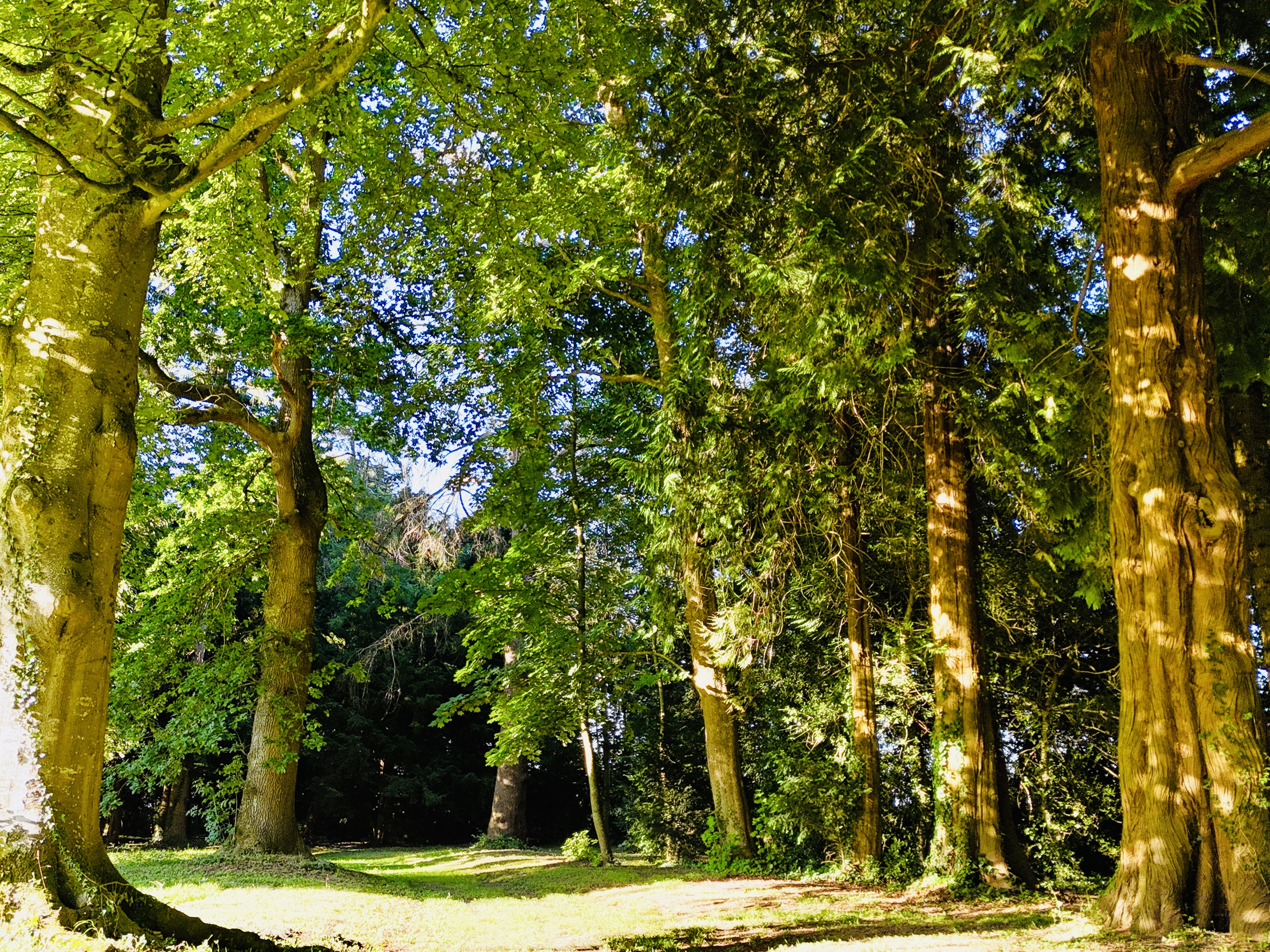French property for sale in Lisieux, Calvados - €1,400,000 - photo 