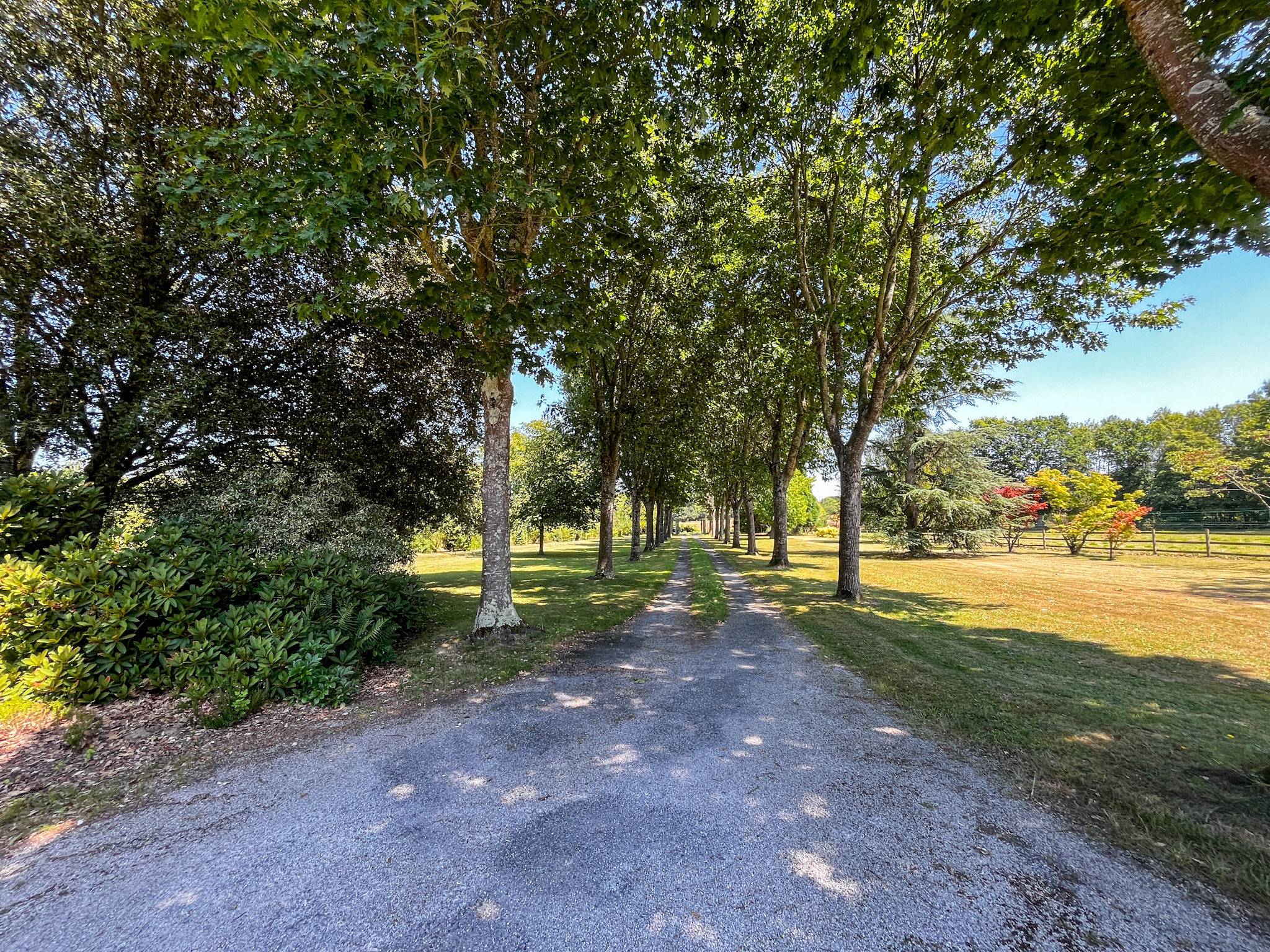 Propriété en France à vendre à Mesnil-Roc'h, Ille-et-Vilaine - &#8364;850 500 - photo 