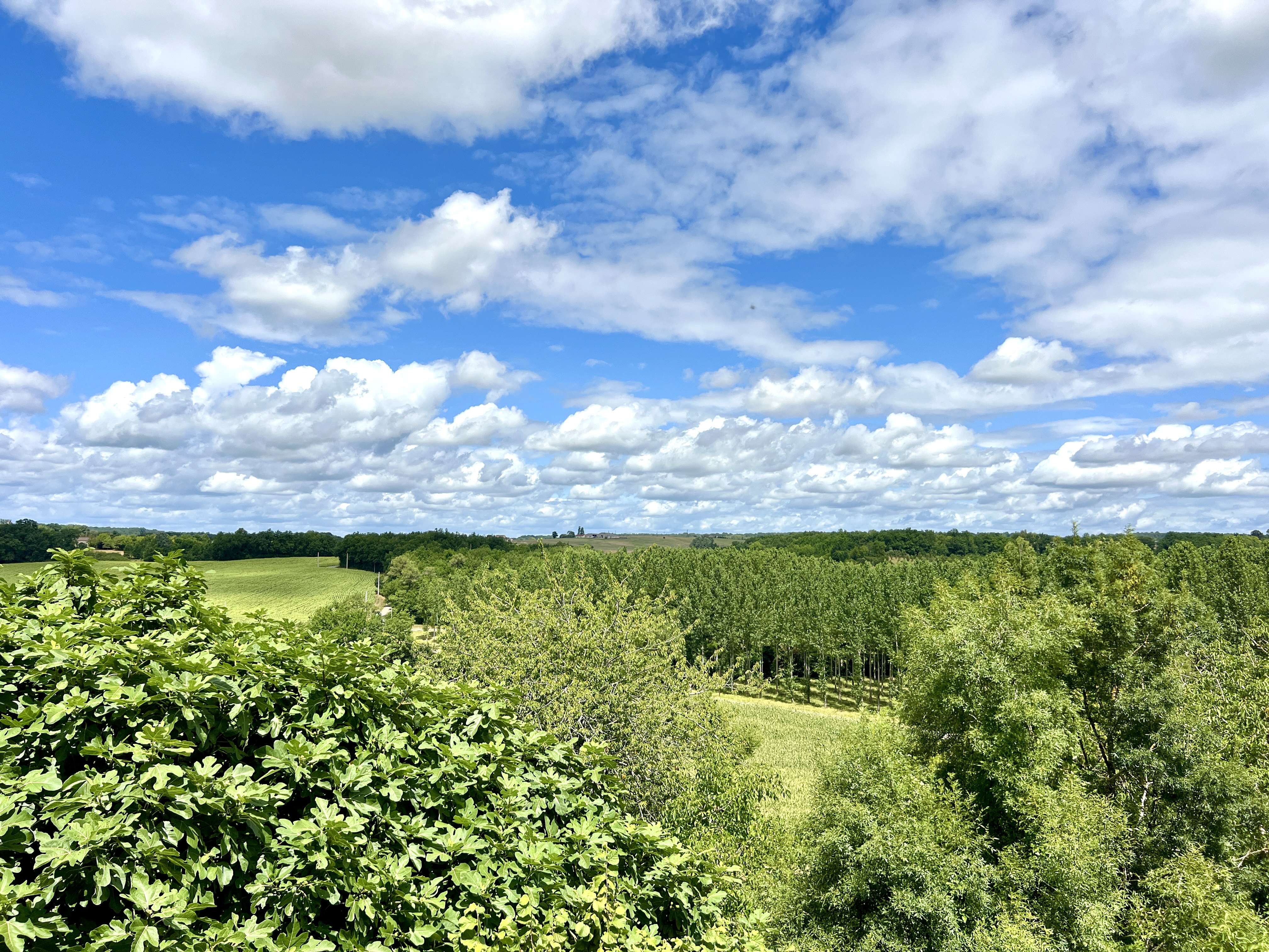 Propriété en France à vendre à Duras, Lot-et-Garonne - &#8364;1 295 000 - photo 