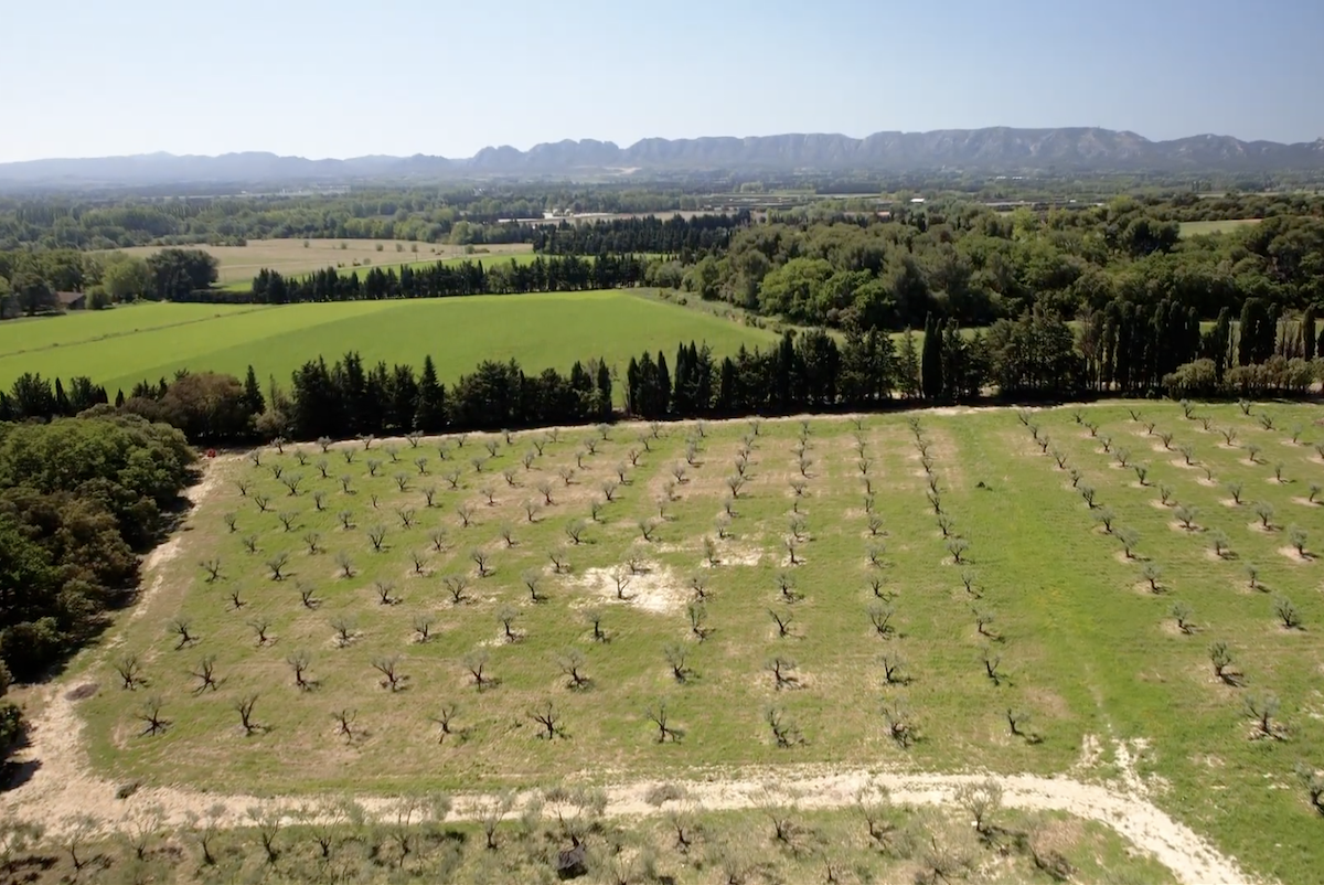 French property for sale in Noves, Bouches-du-Rhône - €3,500,000 - photo 