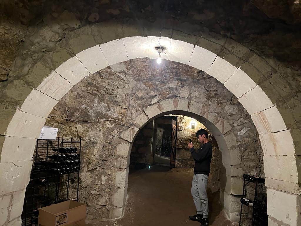 French property for sale in Huismes, Indre-et-Loire - €1,100,000 - photo 