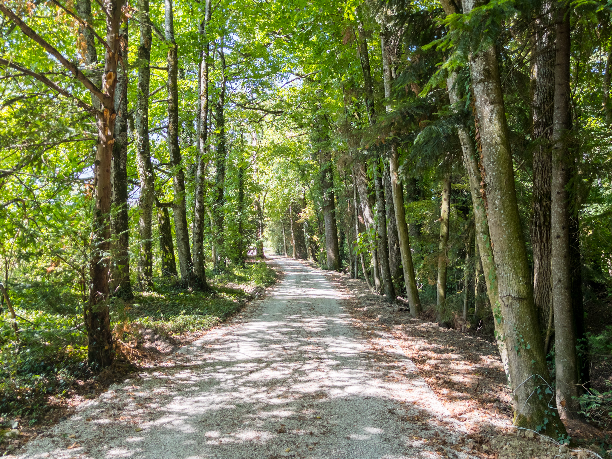 French property for sale in Annecy, Haute-Savoie - €3,885,000 - photo 