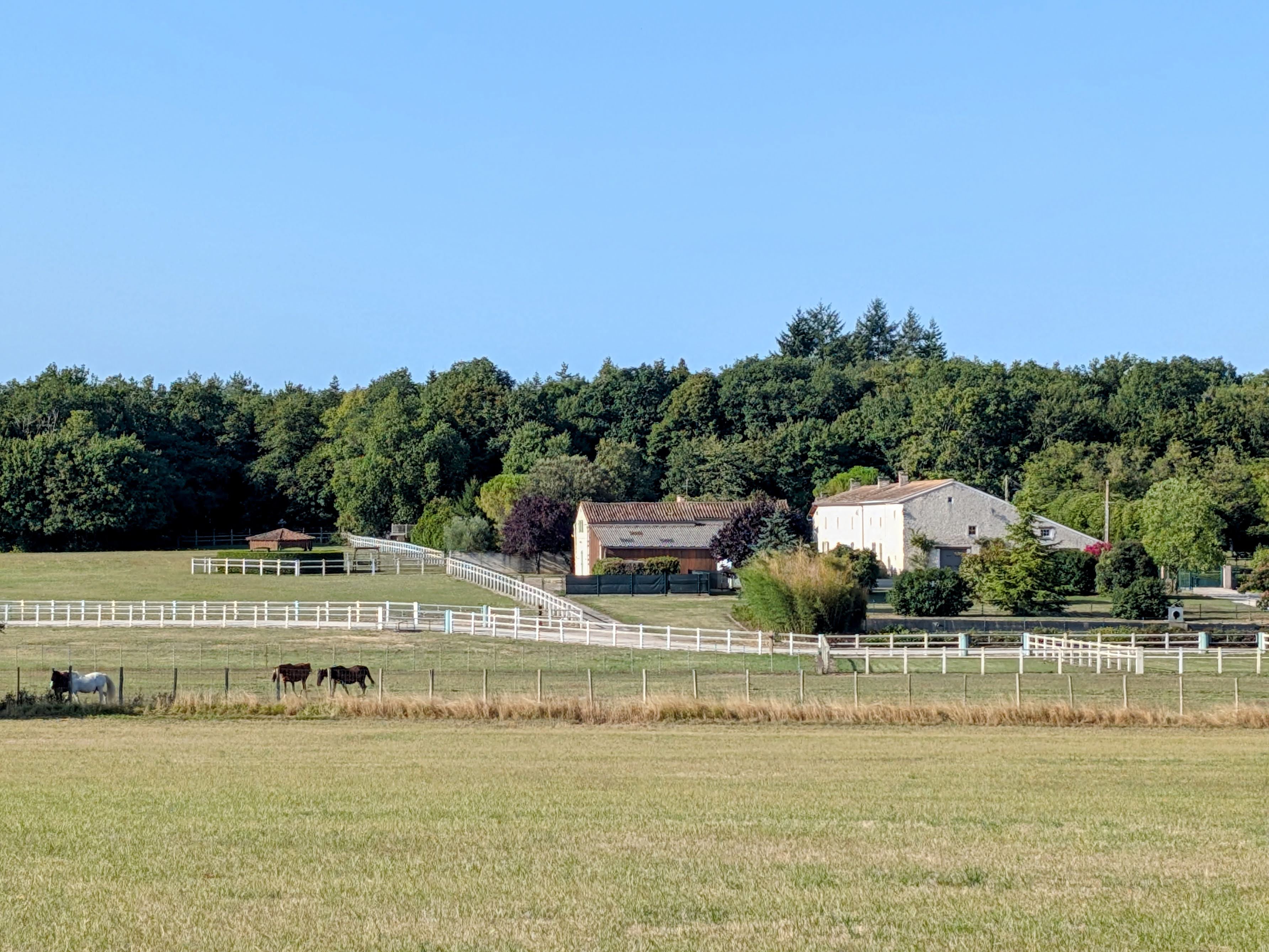 Propriété en France à vendre à Aubigné, Deux-Sèvres - &#8364;1 800 000 - photo 