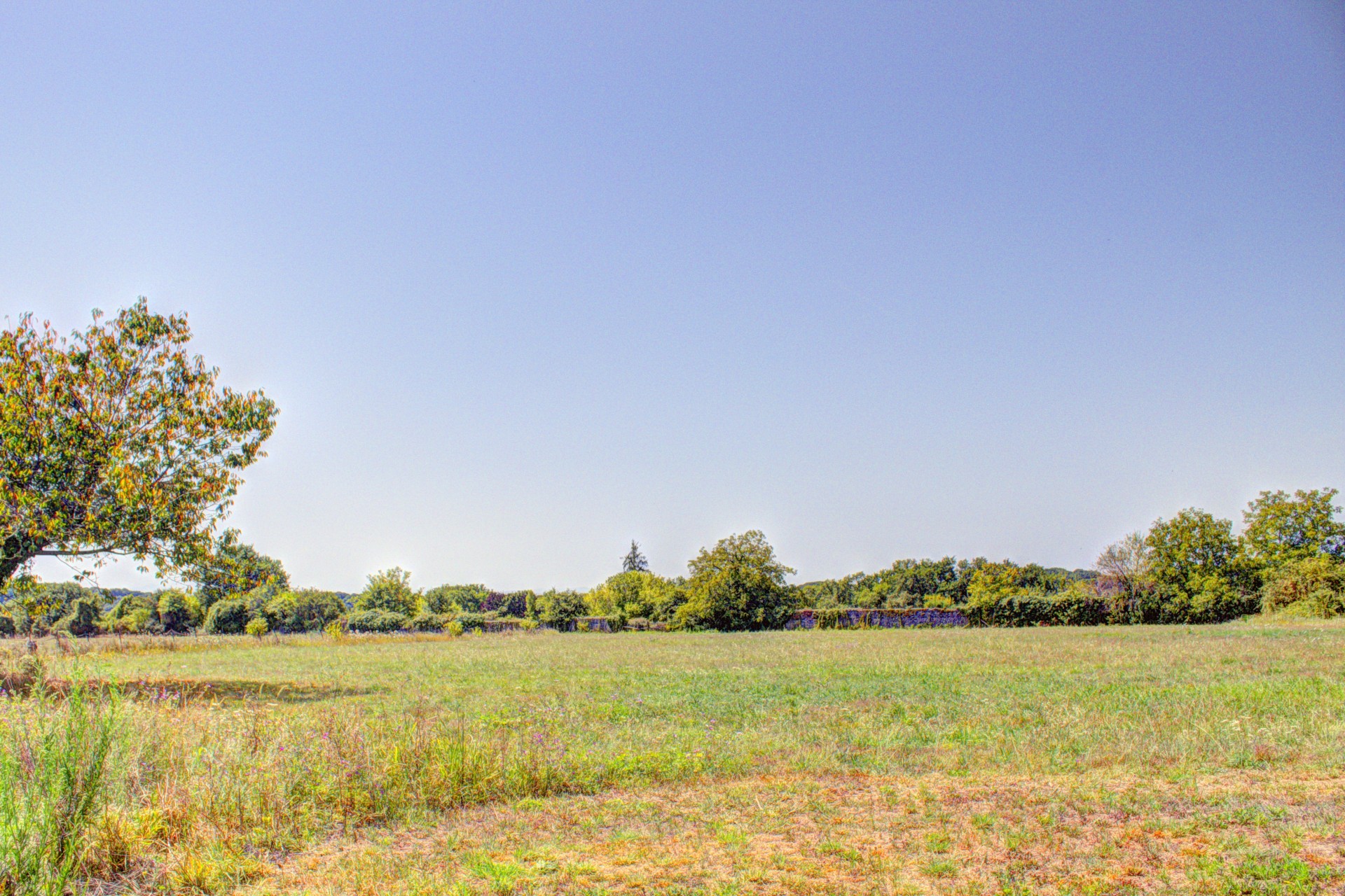 French property for sale in Navarrenx, Pyrénées-Atlantiques - €450,000 - photo 