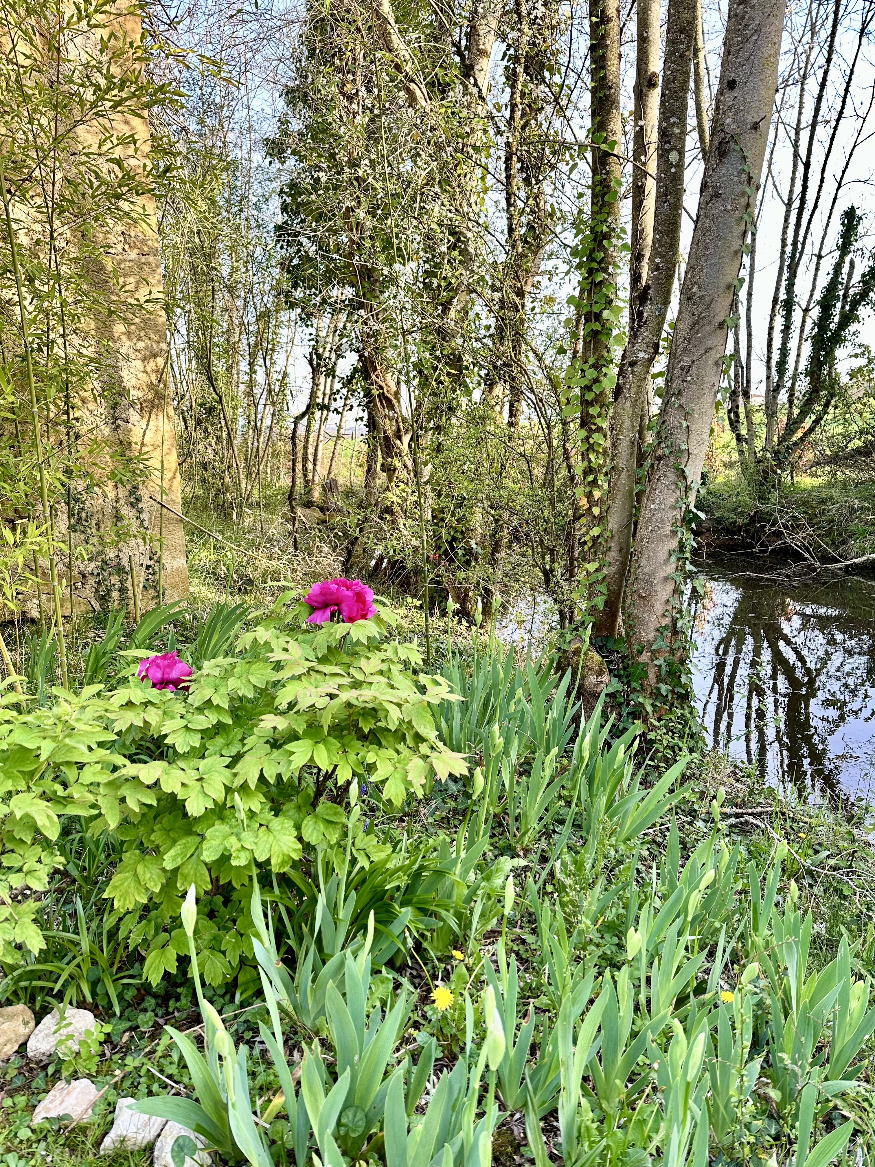 French property for sale in Bellegarde, Gers - €618,800 - photo 