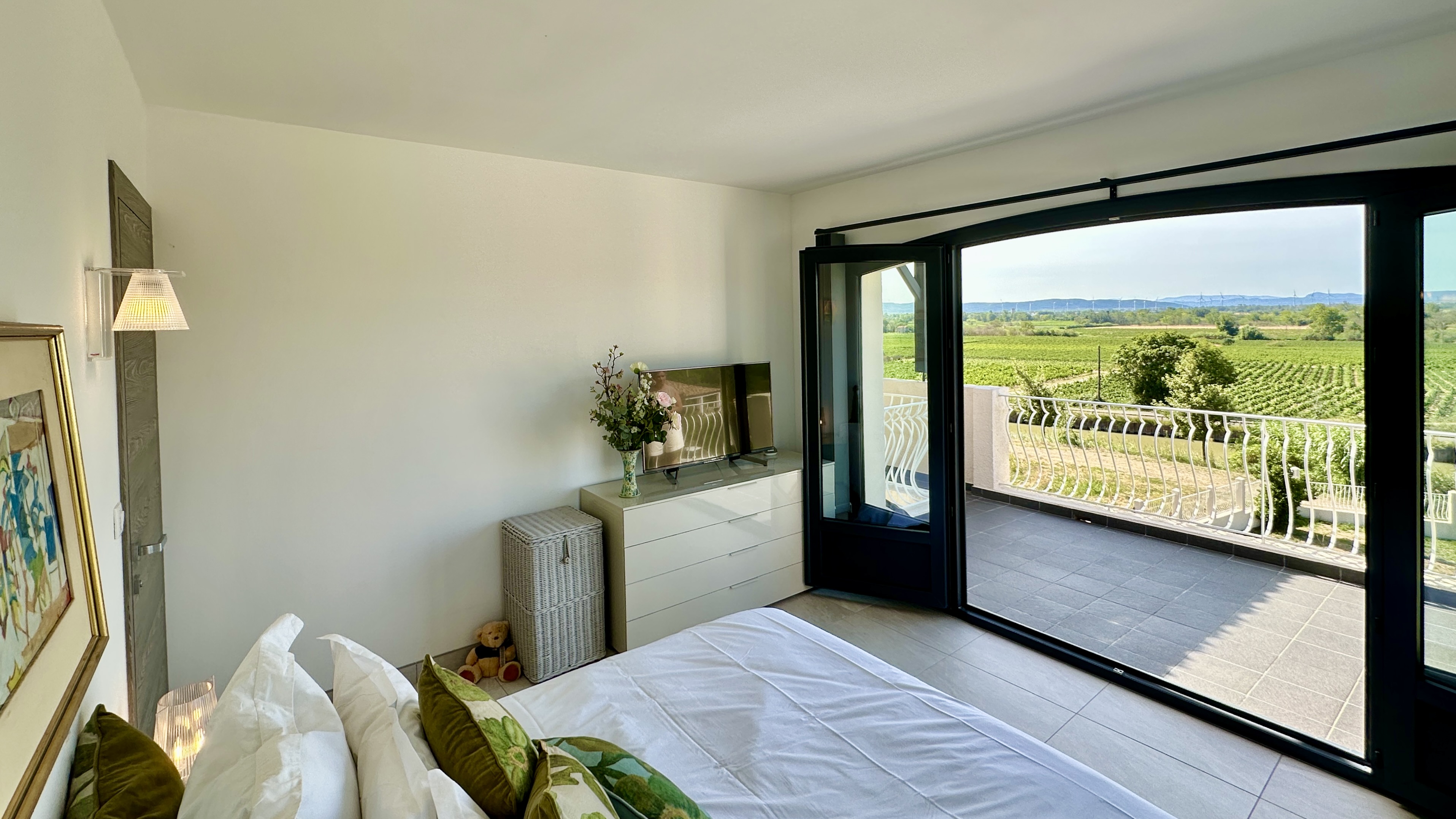 Propriété en France à vendre à Paraza, Aude - &#8364;749 000 - photo 