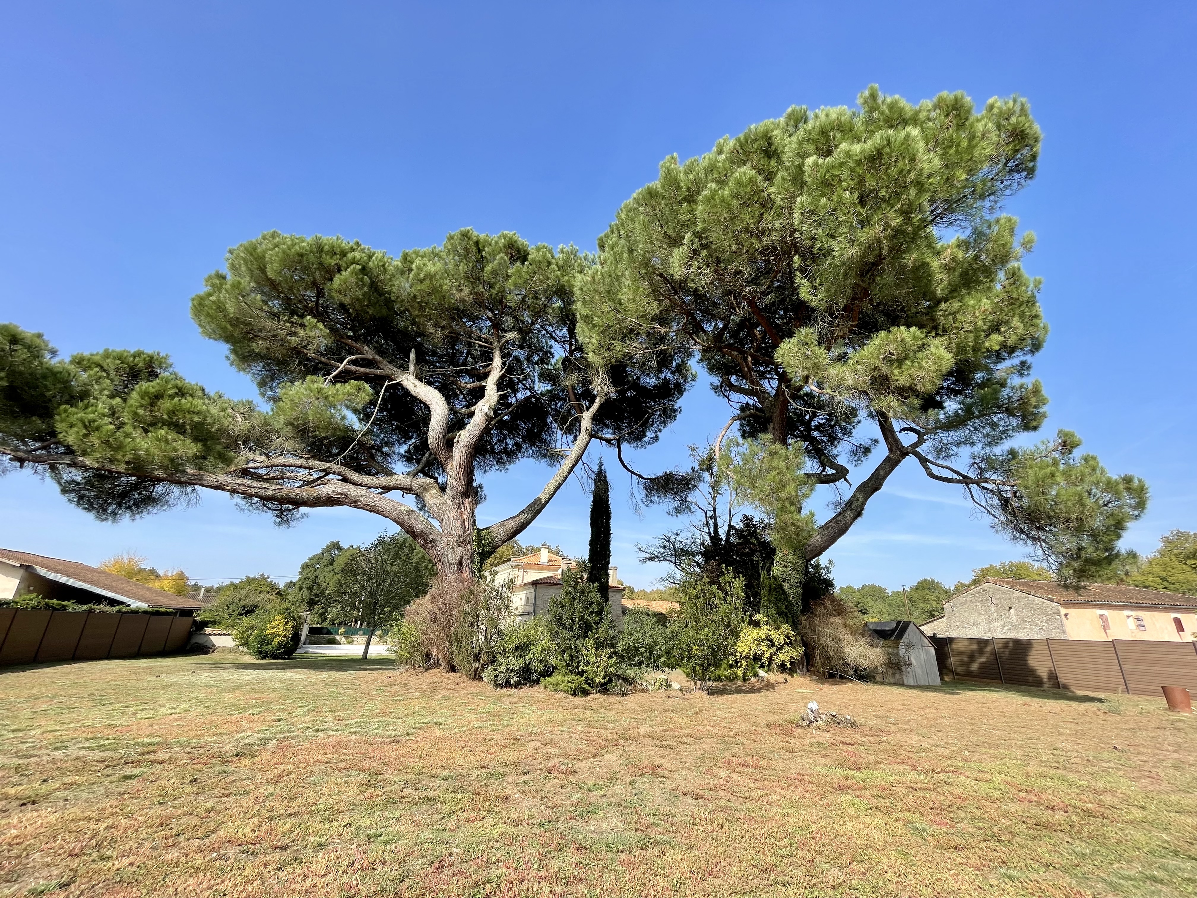 French property for sale in Cartelègue, Gironde - €599,000 - photo 