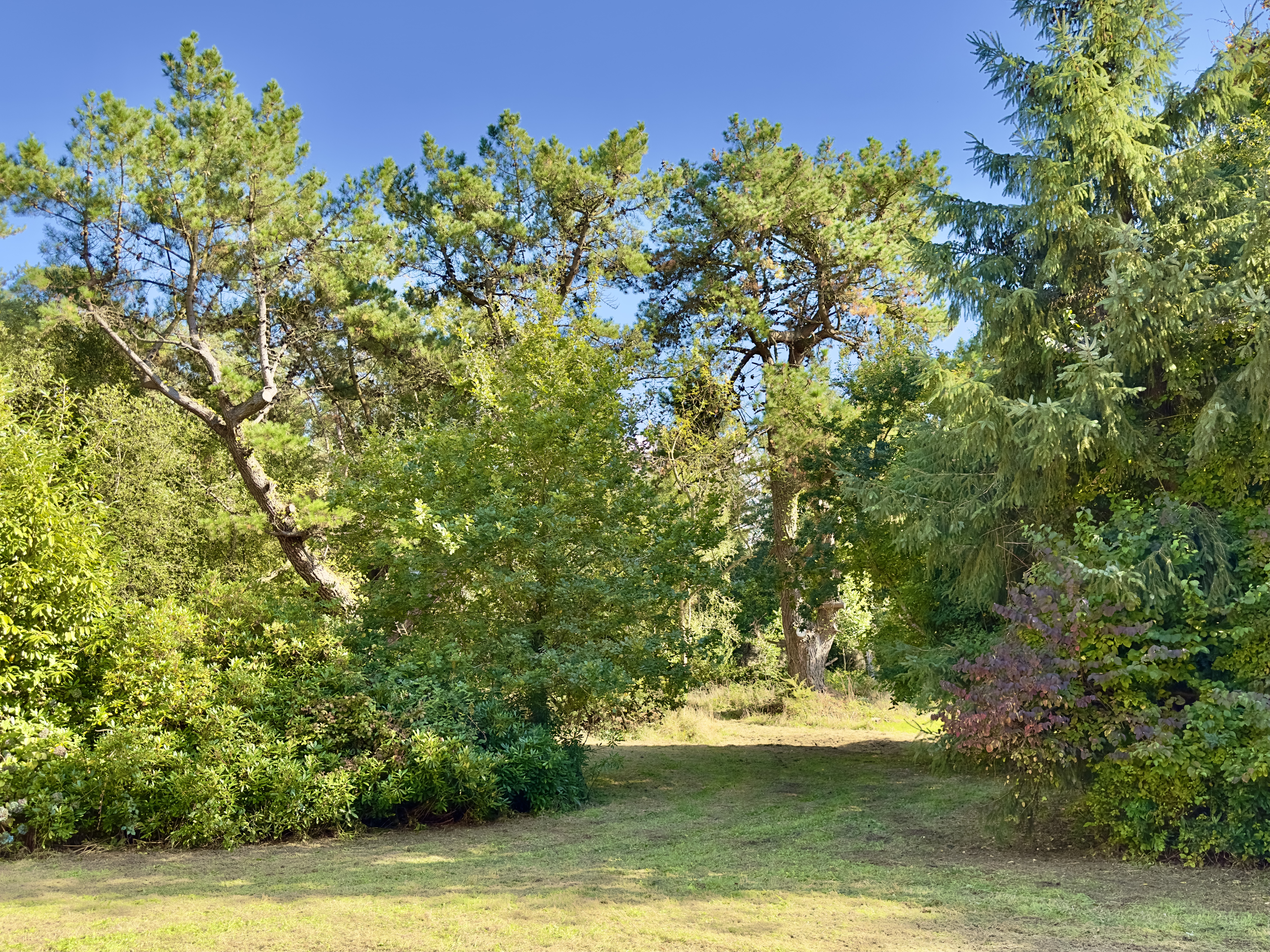 Propriété en France à vendre à Plestin-les-Grèves, Côtes-d'Armor - &#8364;567 000 - photo 