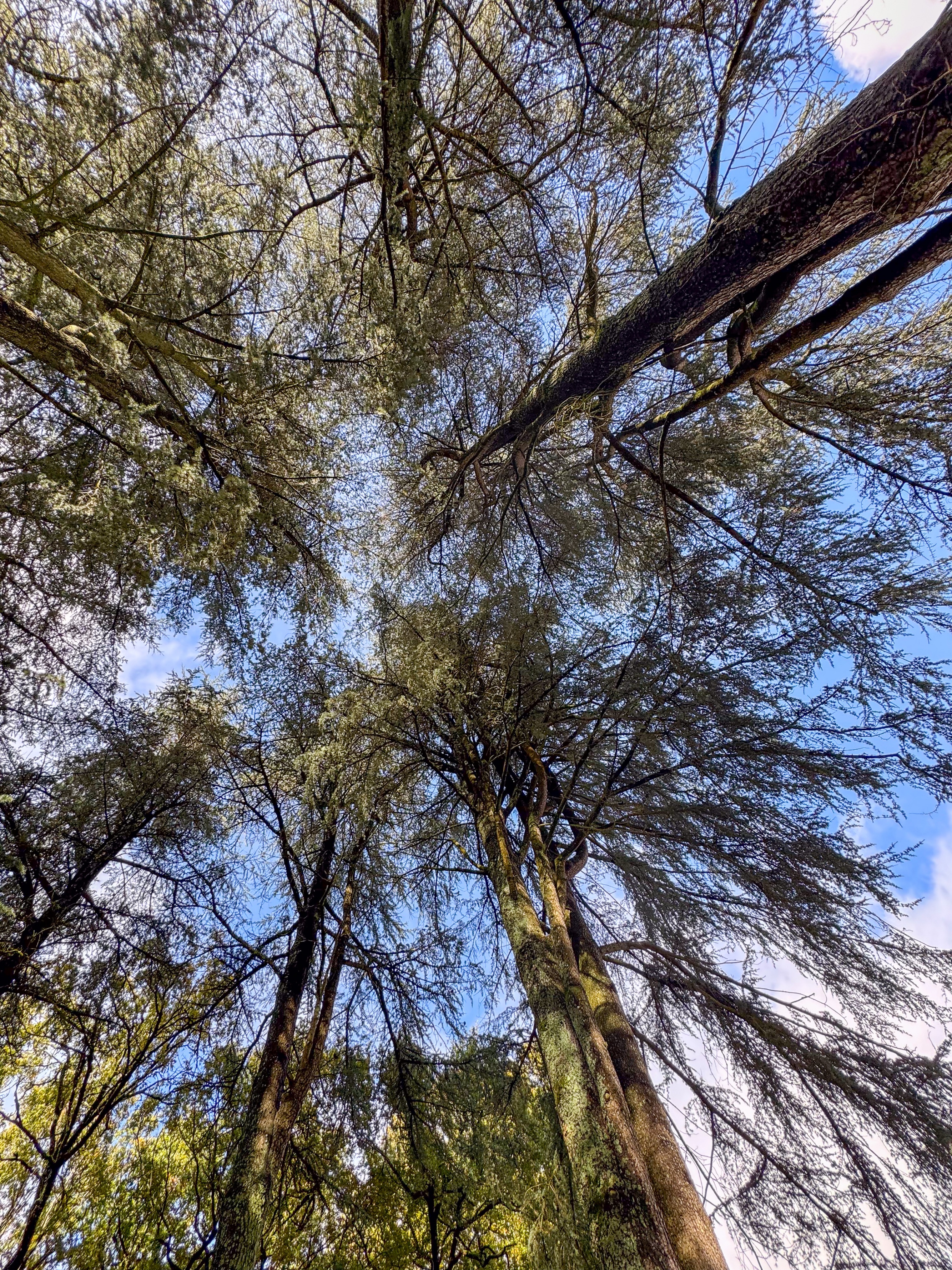 Propriété en France à vendre à Beaulieu-sous-Parthenay, Deux-Sèvres - &#8364;996 400 - photo 