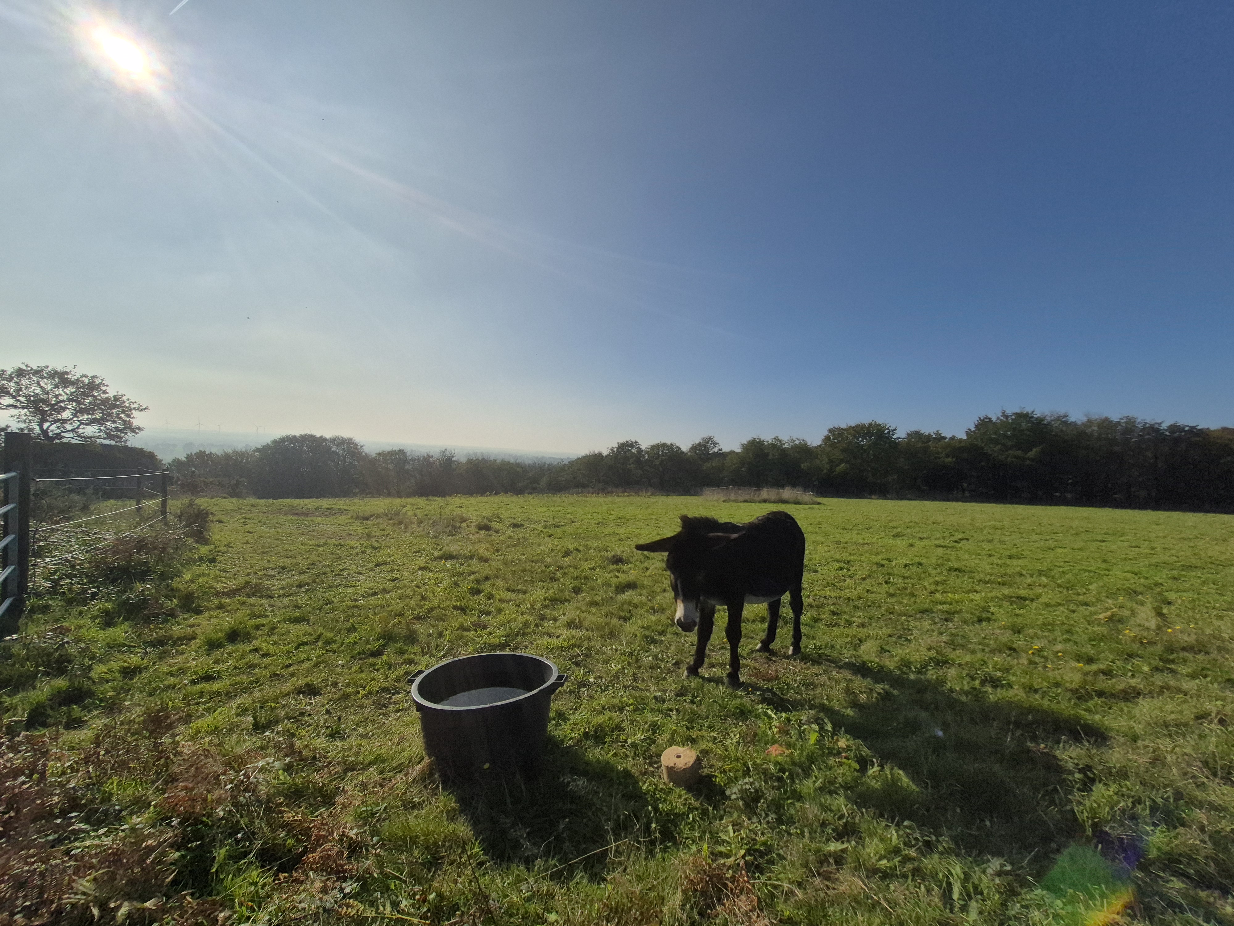 French property for sale in Kergrist-Moëlou, Côtes-d'Armor - €680,000 - photo 