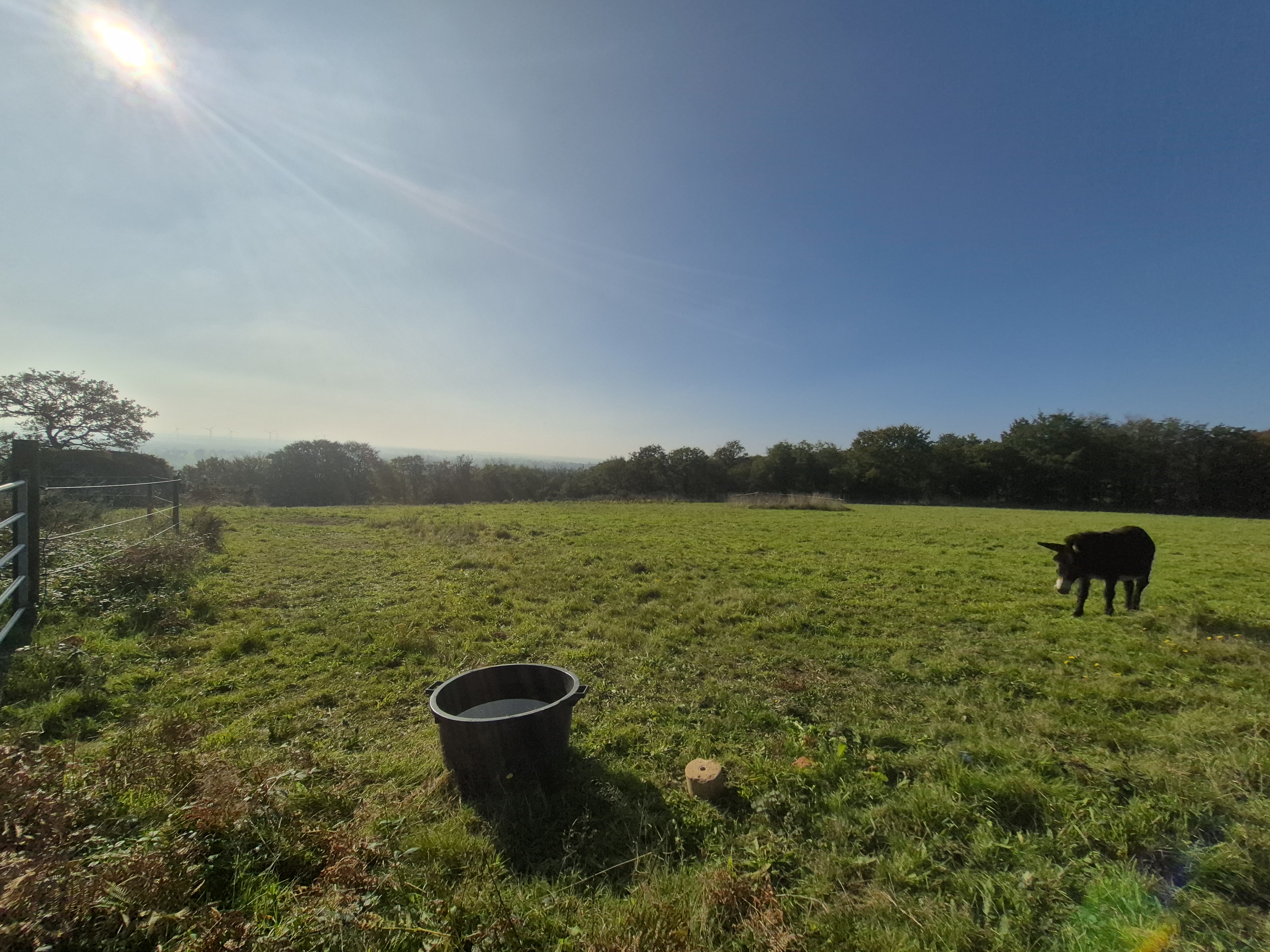 French property for sale in Kergrist-Moëlou, Côtes-d'Armor - €680,000 - photo 