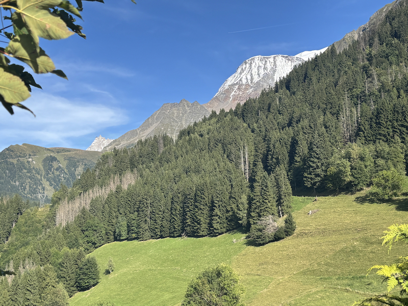 French property for sale in Saint-Gervais-les-Bains, Haute-Savoie - €790,000 - photo