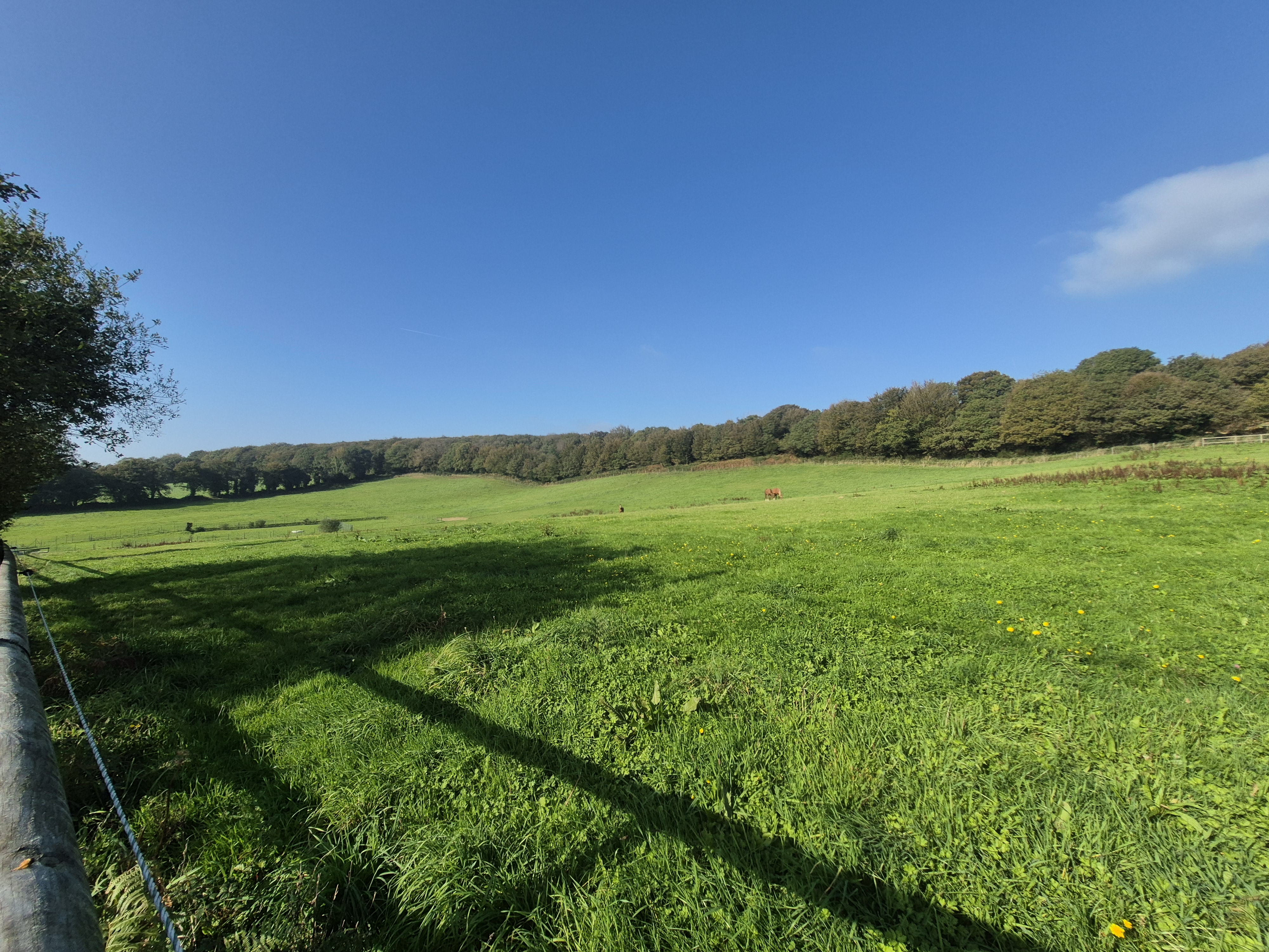 French property for sale in Kergrist-Moëlou, Côtes-d'Armor - €680,000 - photo 