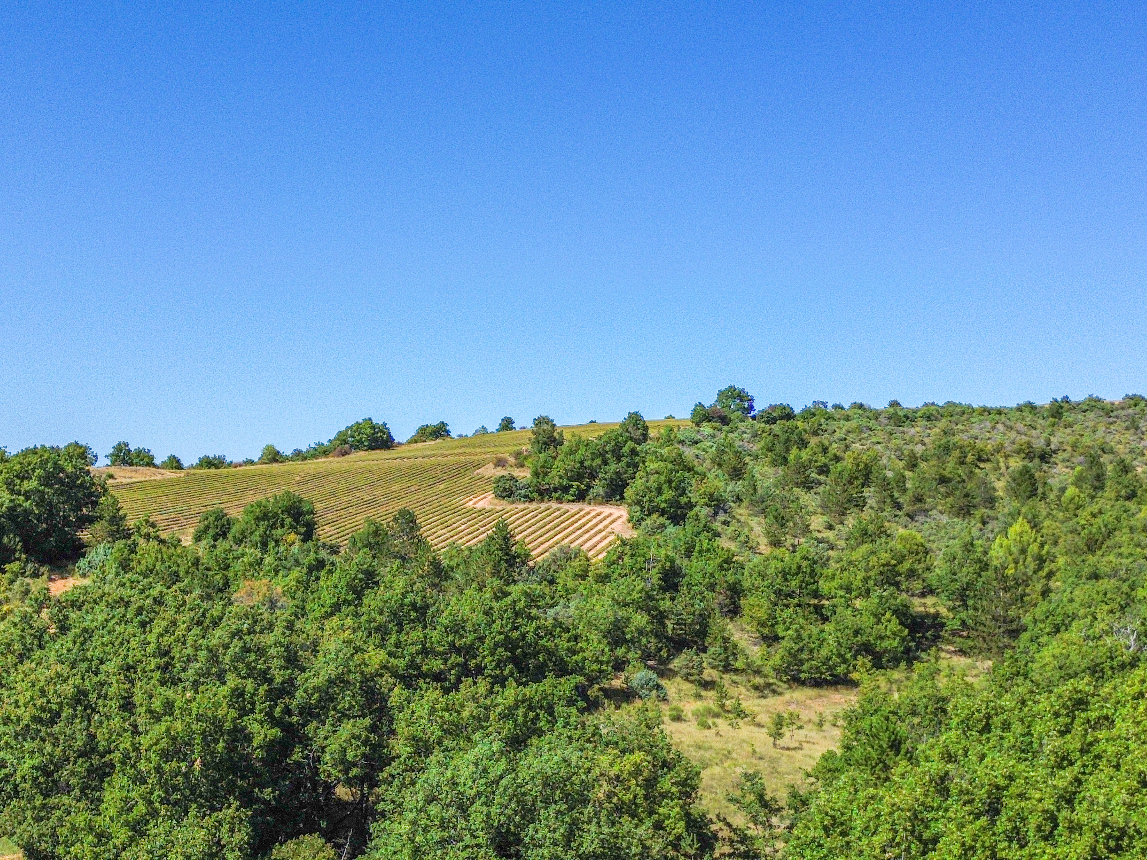 French property for sale in Saint-Julien-d'Asse, Alpes-de-Haute-Provence - €530,000 - photo 