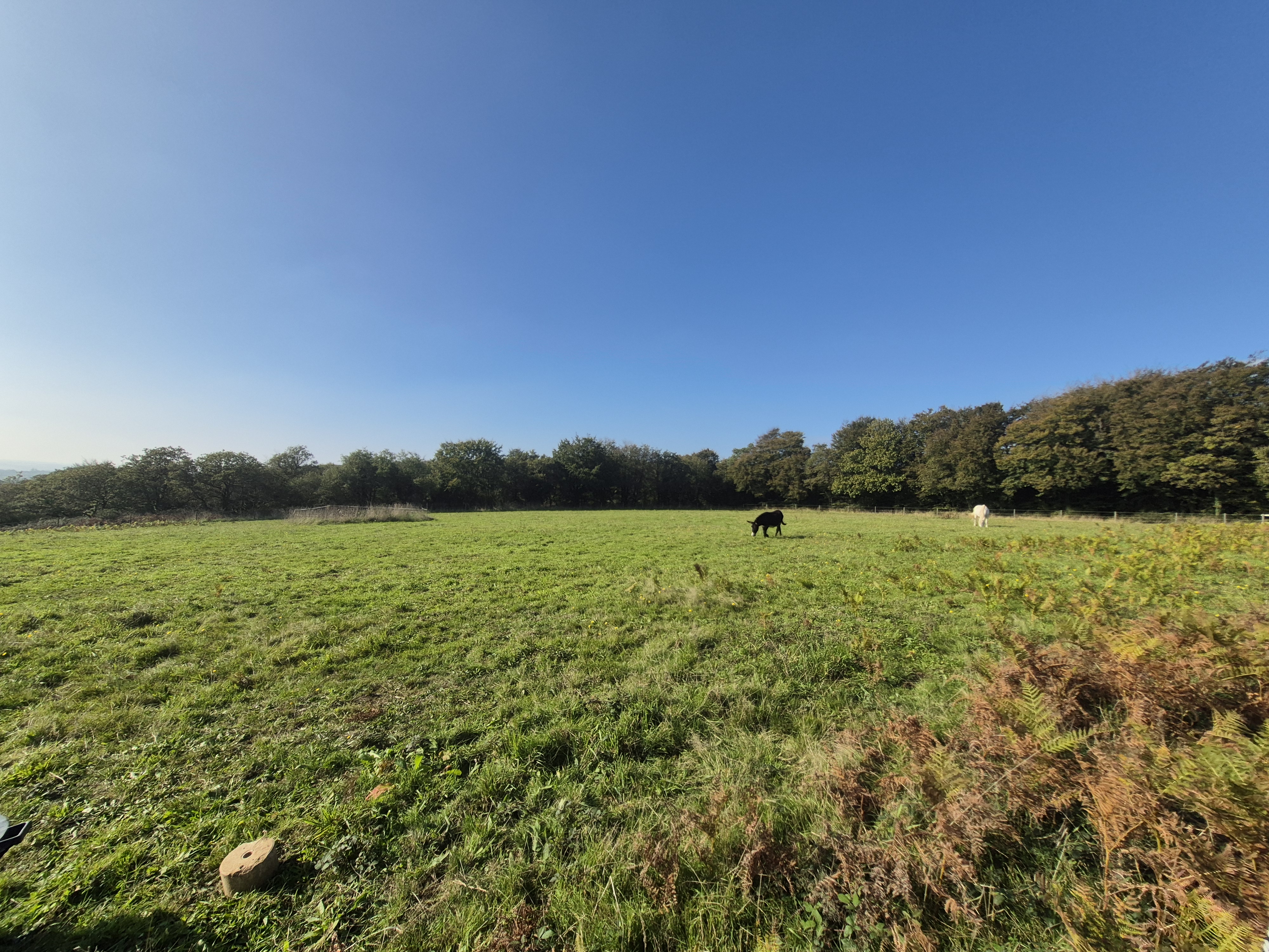 French property for sale in Kergrist-Moëlou, Côtes-d'Armor - €680,000 - photo 