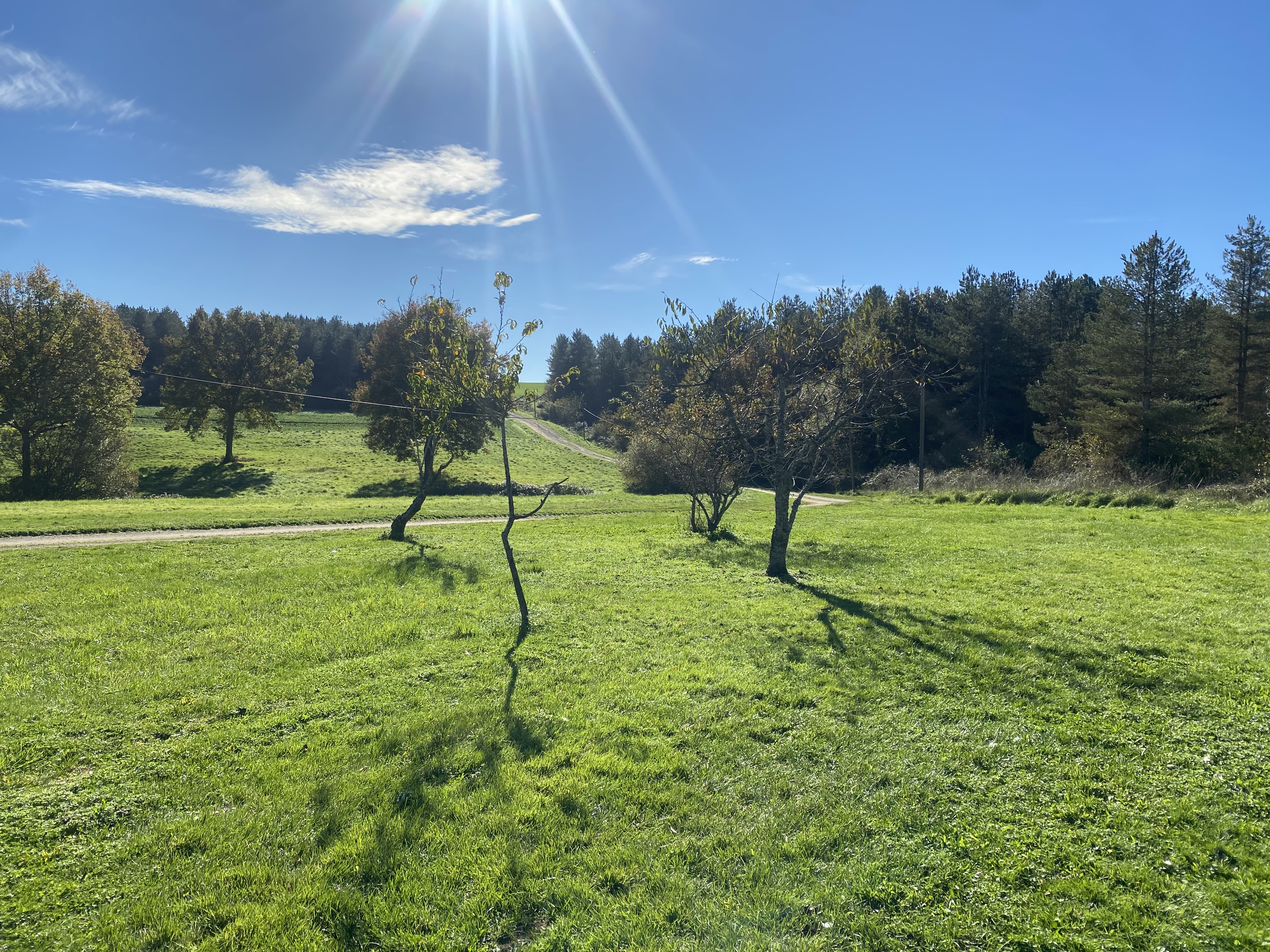 Propriété en France à vendre à Épineuil-le-Fleuriel, Cher - €935 749 - photo 