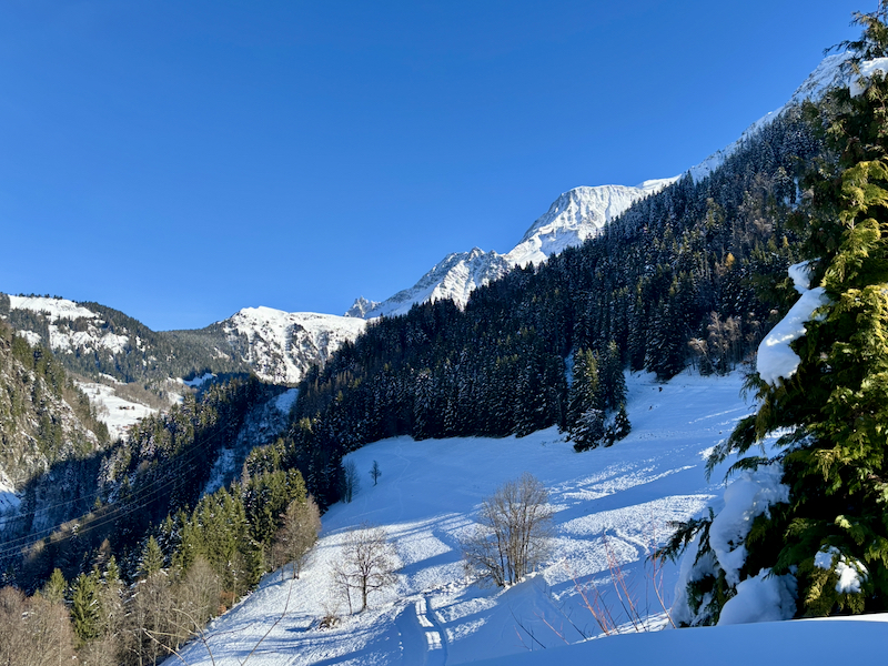 French property for sale in Saint-Gervais-les-Bains, Haute-Savoie - €790,000 - photo 