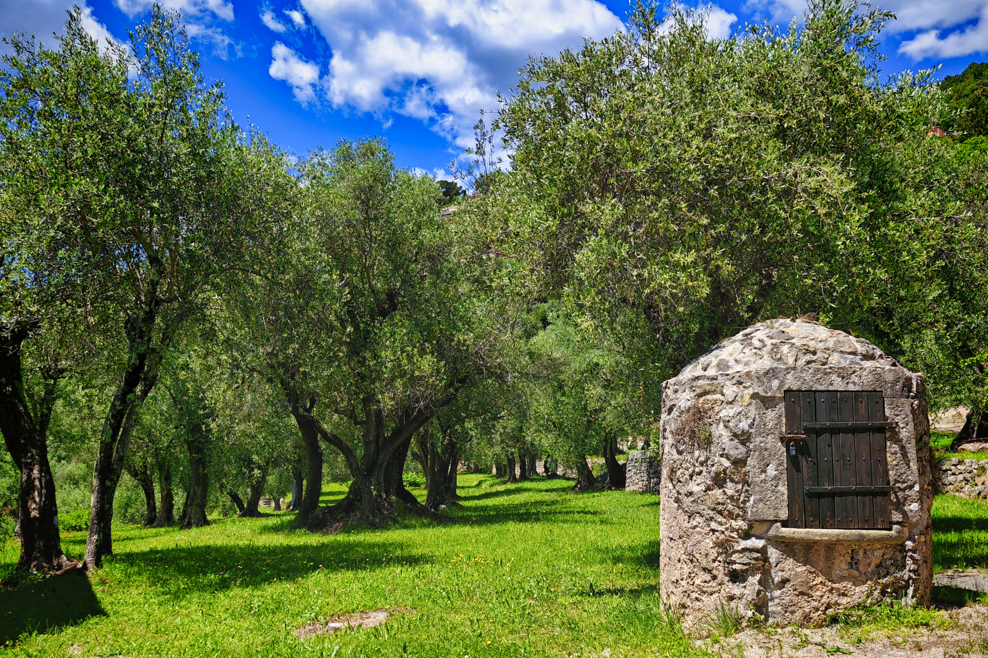 Propriété en France à vendre à Cabris, Alpes-Maritimes - &#8364;3 490 000 - photo 