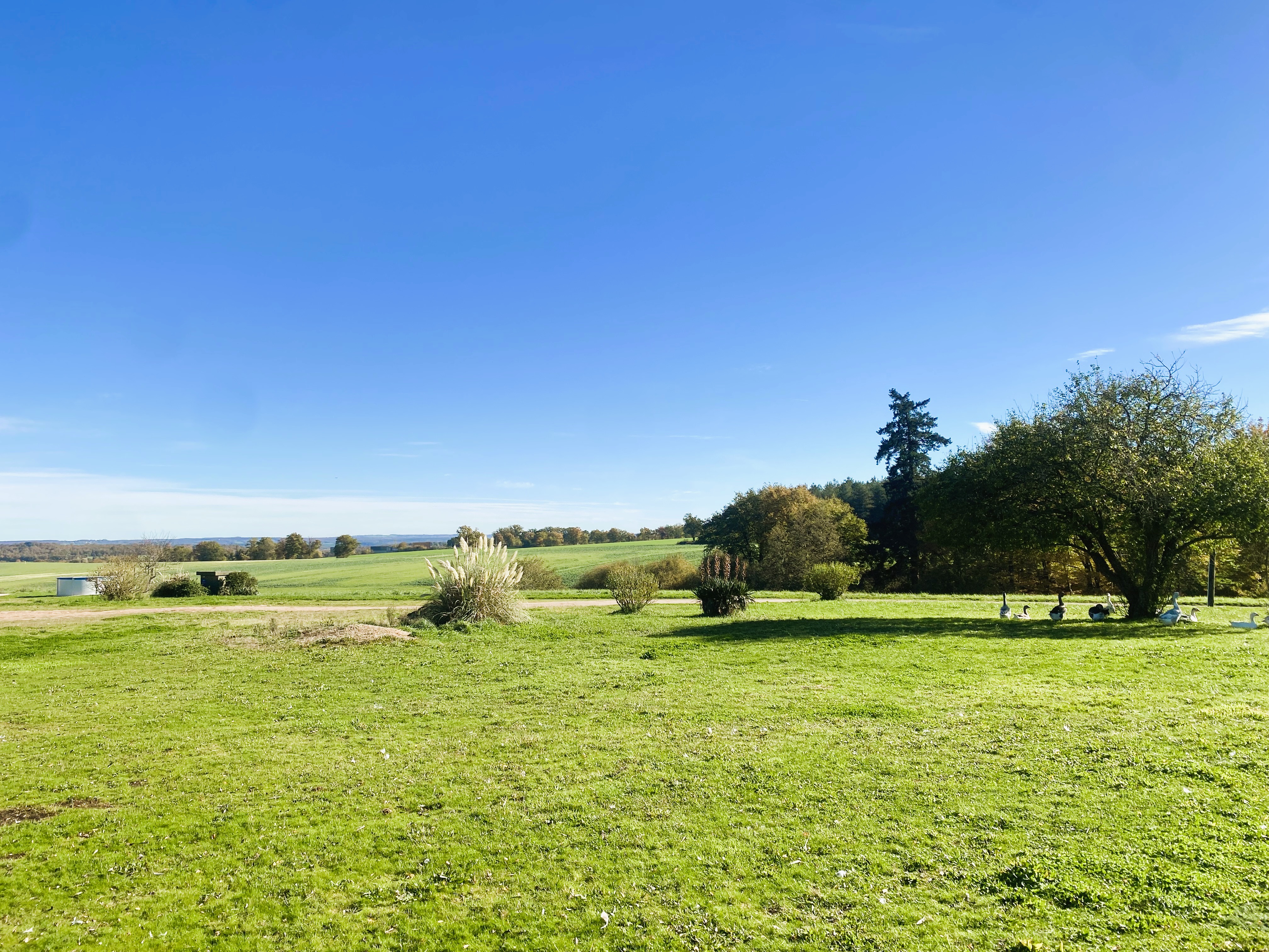 Propriété en France à vendre à Épineuil-le-Fleuriel, Cher - €935 749 - photo 