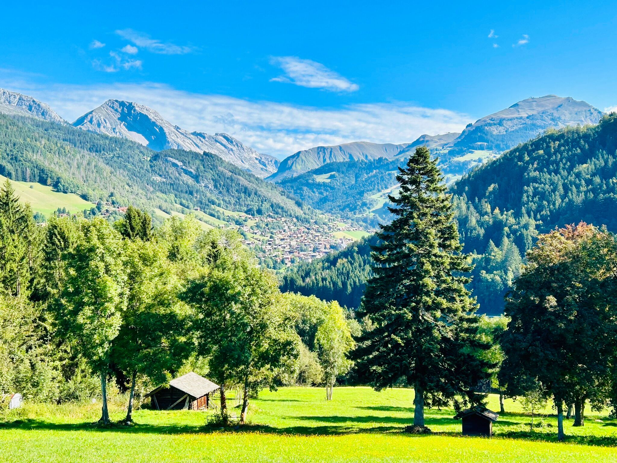 Propriété en France à vendre à Saint-Jean-de-Sixt, Haute-Savoie - &#8364;1 060 000 - photo 