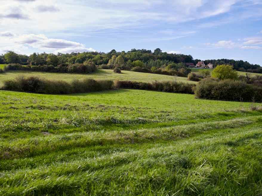 Propriété en France à vendre à Montagnac-la-Crempse, Dordogne - &#8364;1 908 000 - photo 