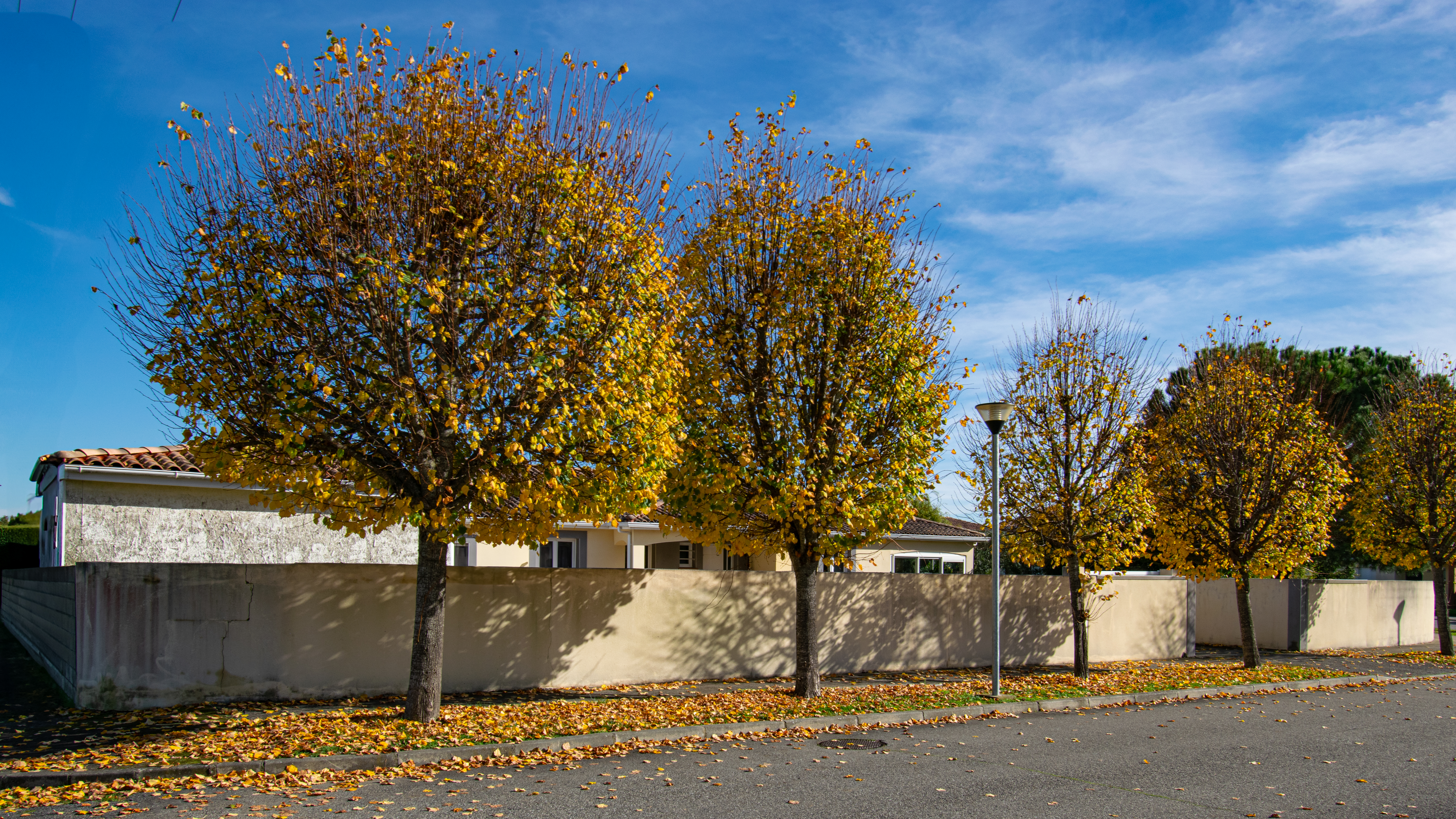 French property for sale in Seilh, Haute-Garonne - €595,000 - photo 