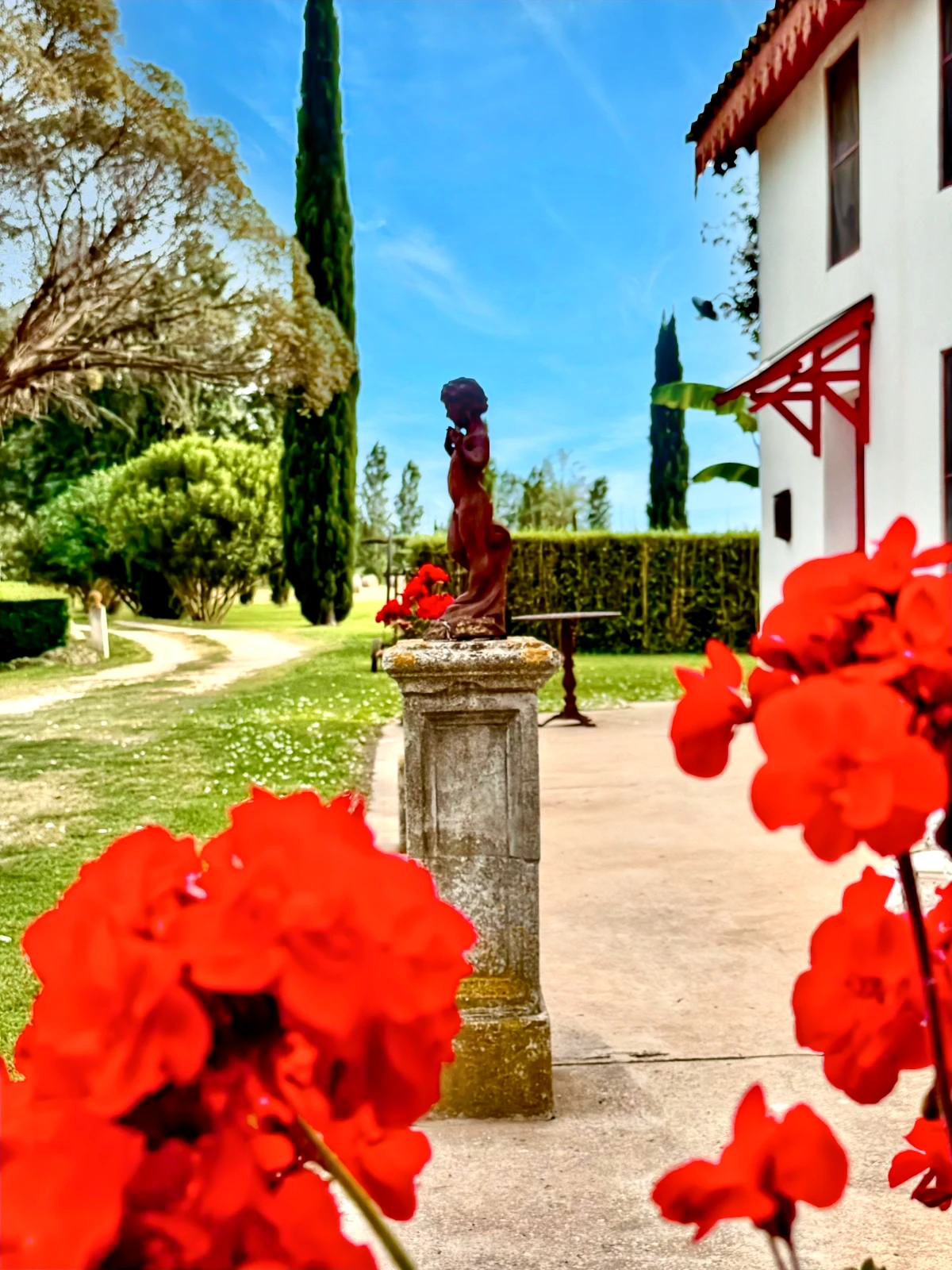 French property for sale in Arles, Bouches-du-Rhône - €1,390,000 - photo 