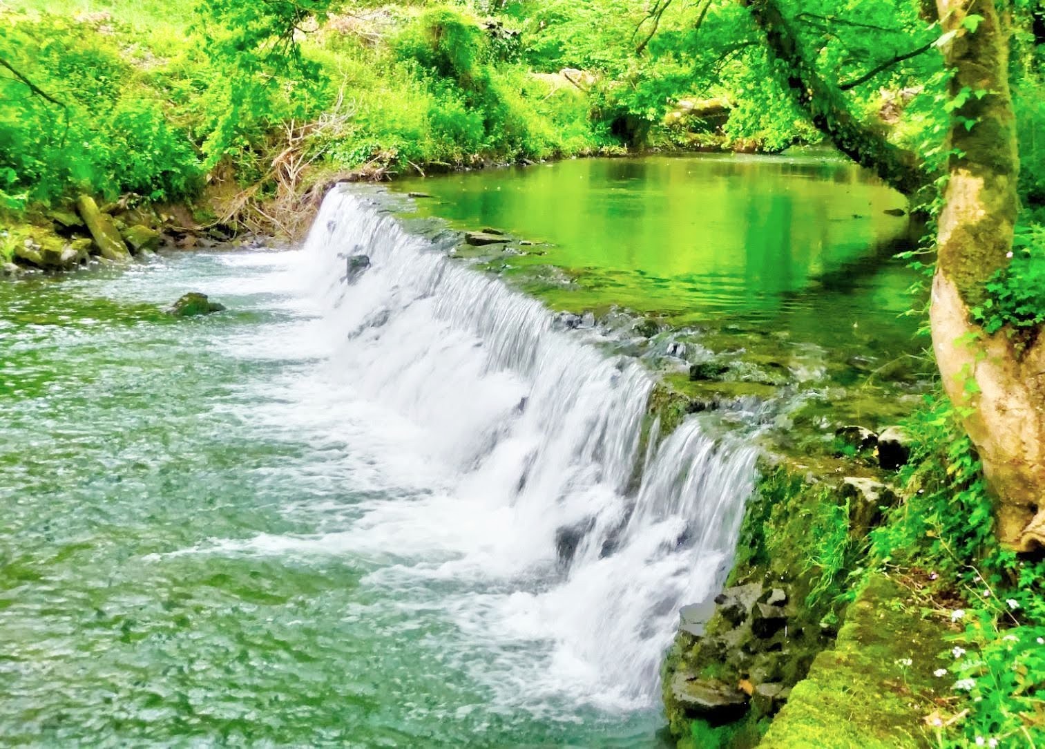 French property for sale in Oloron-Sainte-Marie, Pyrénées-Atlantiques - €749,000 - photo 