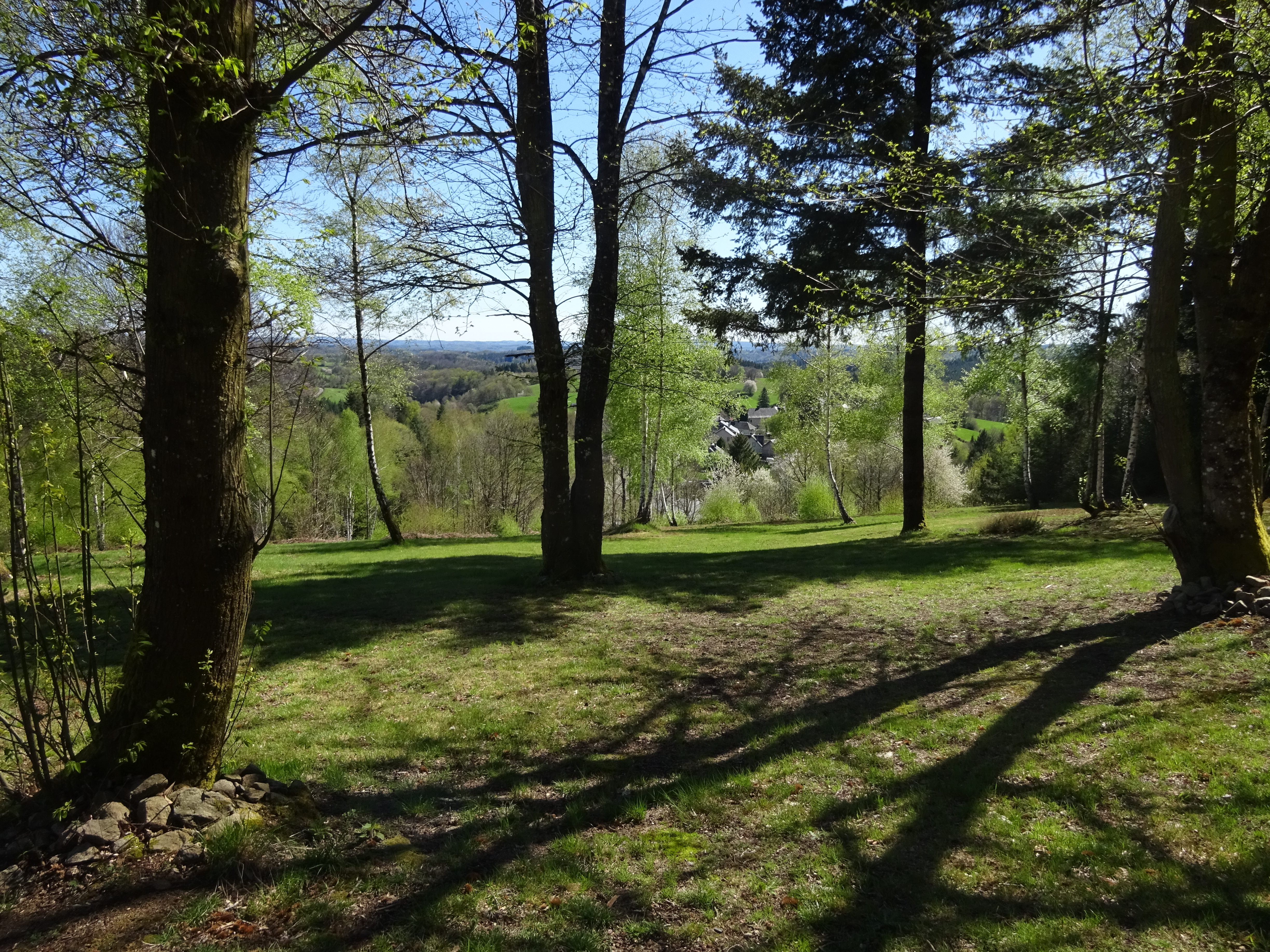 Propriété en France à vendre à Neuvic, Corrèze - €988 000 - photo 