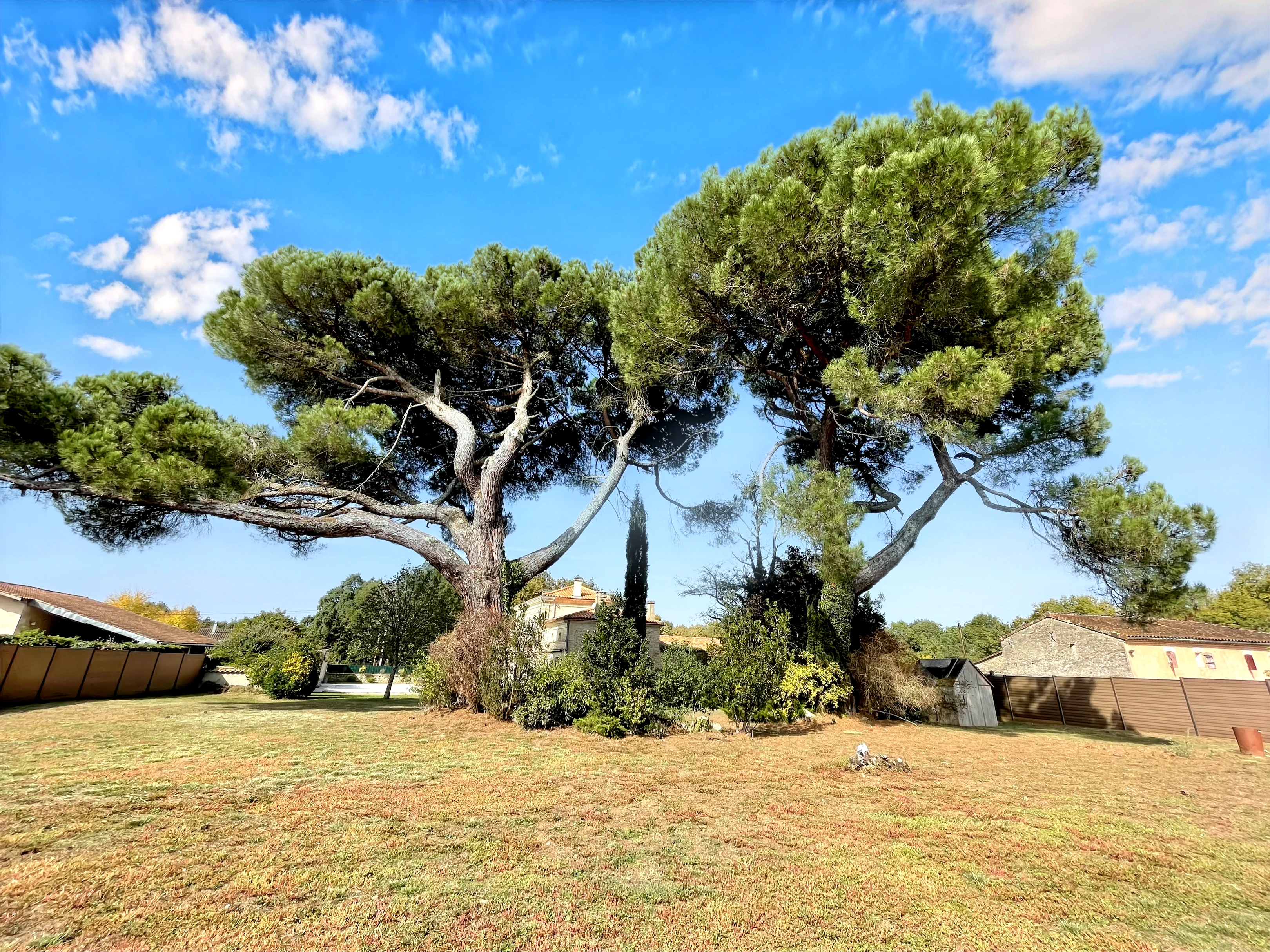 French property for sale in Cartelègue, Gironde - €589,000 - photo 
