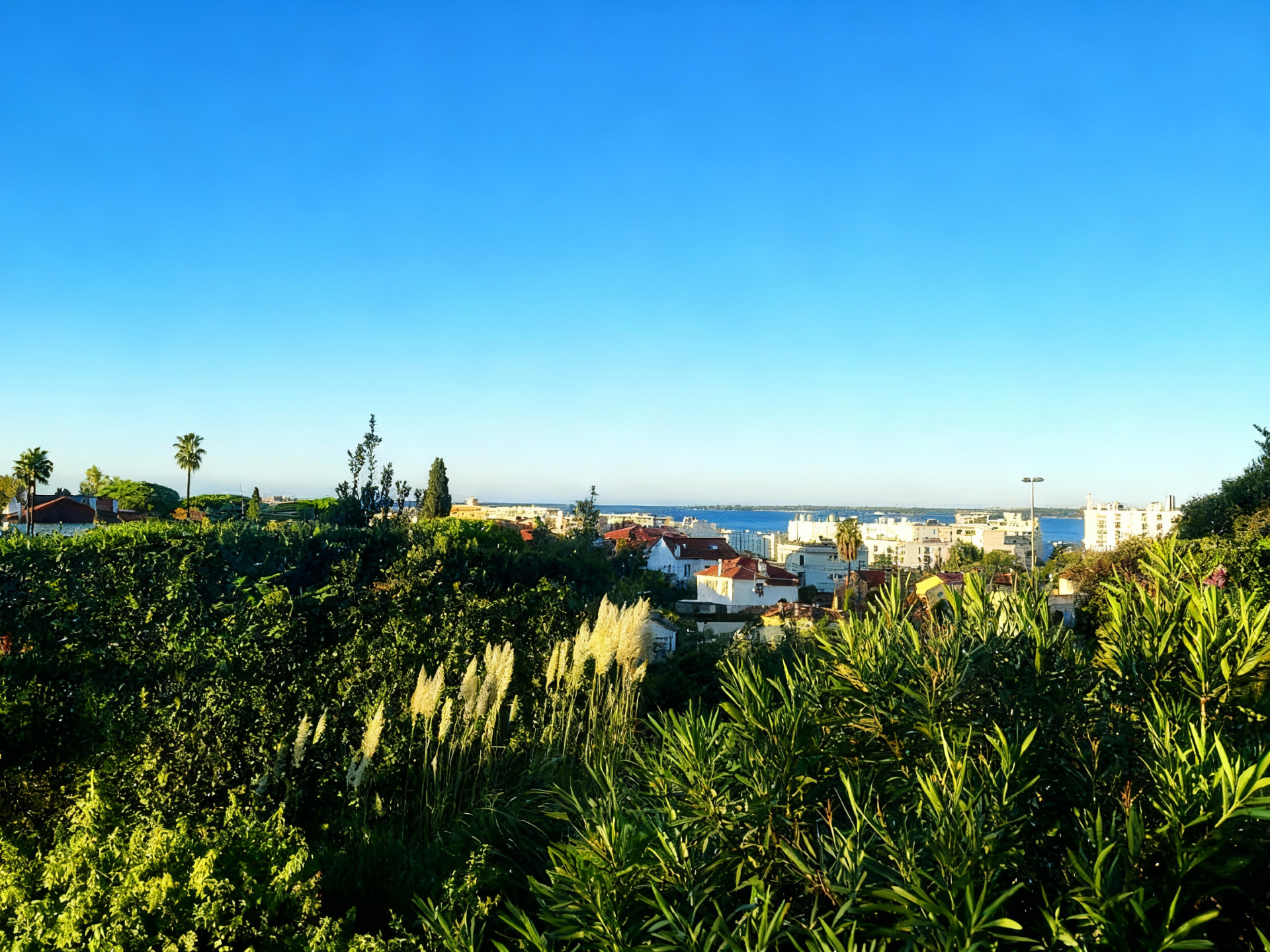 Propriété en France à vendre à Antibes, Alpes-Maritimes - €650 000 - photo 