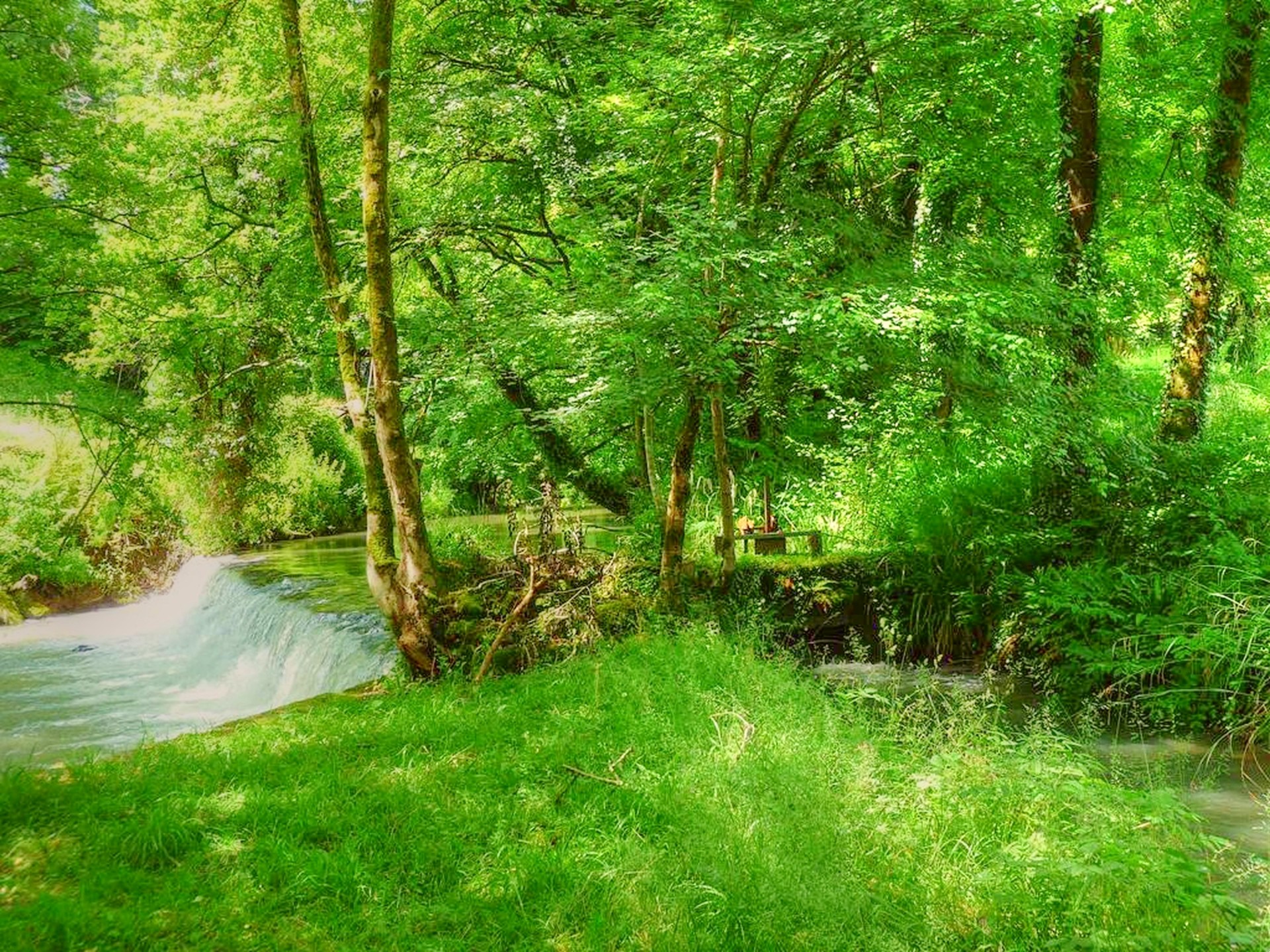 French property for sale in Oloron-Sainte-Marie, Pyrénées-Atlantiques - €749,000 - photo 