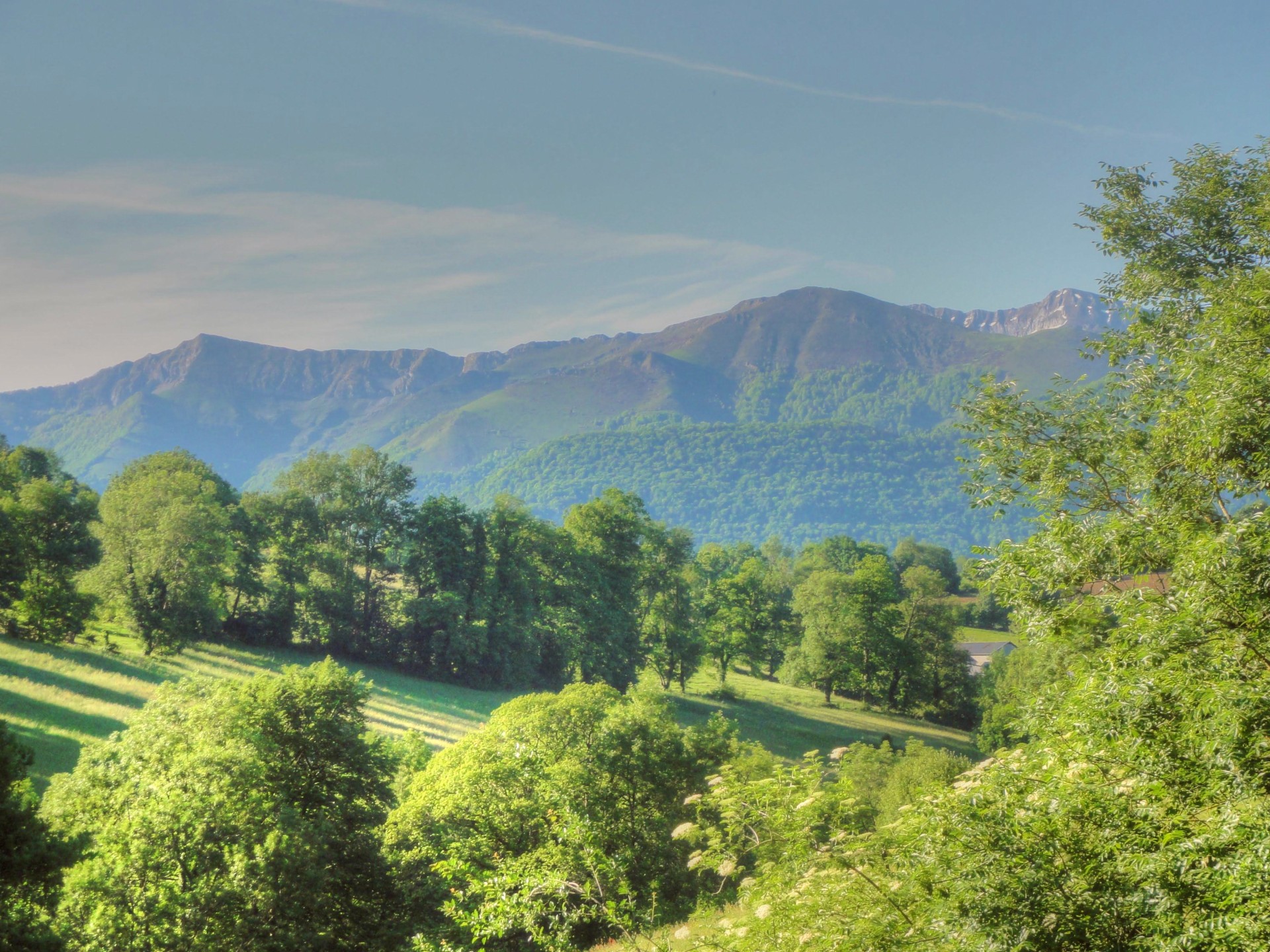 Propriété en France à vendre à Pau, Pyrénées-Atlantiques - €770 000 - photo 